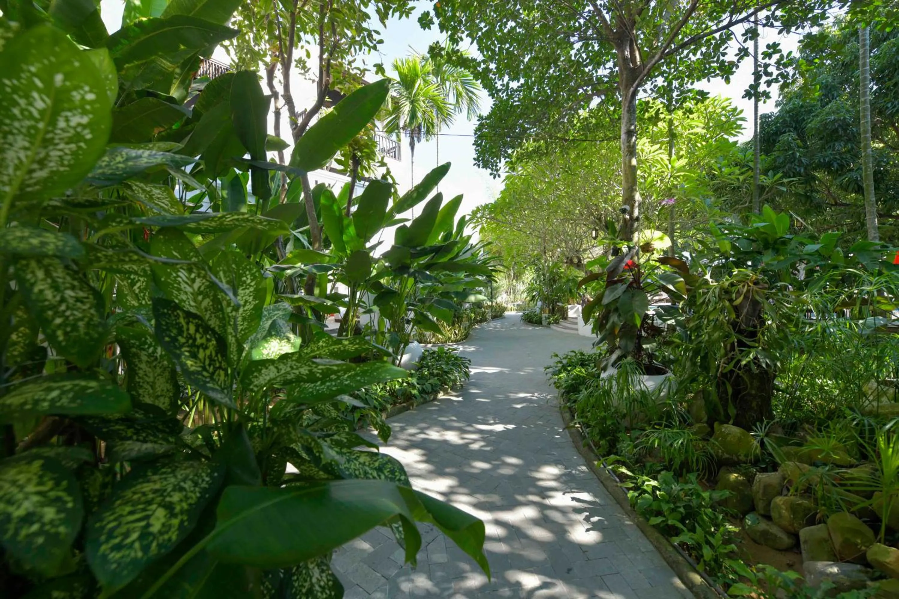 Garden in Hoi An Ancient House Resort & Spa