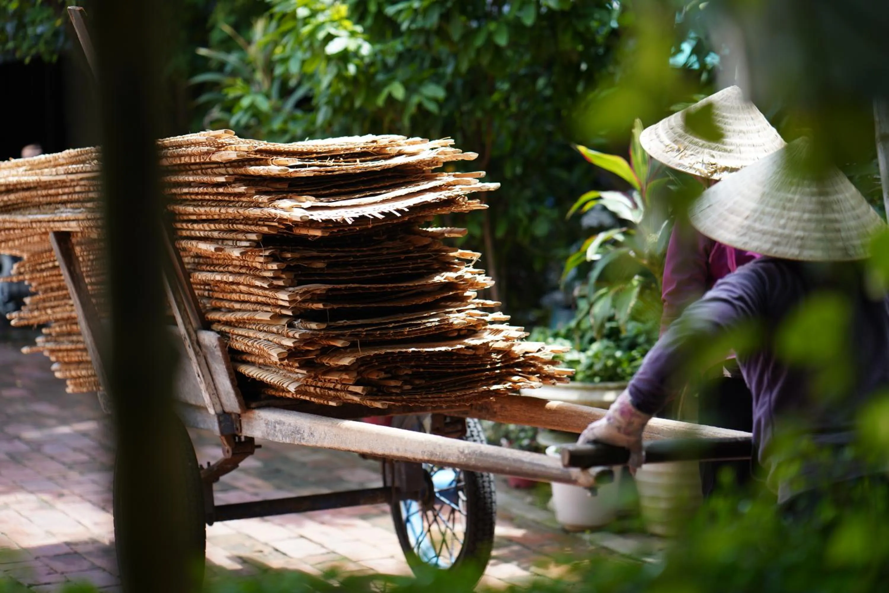 Activities in Hoi An Ancient House Resort & Spa