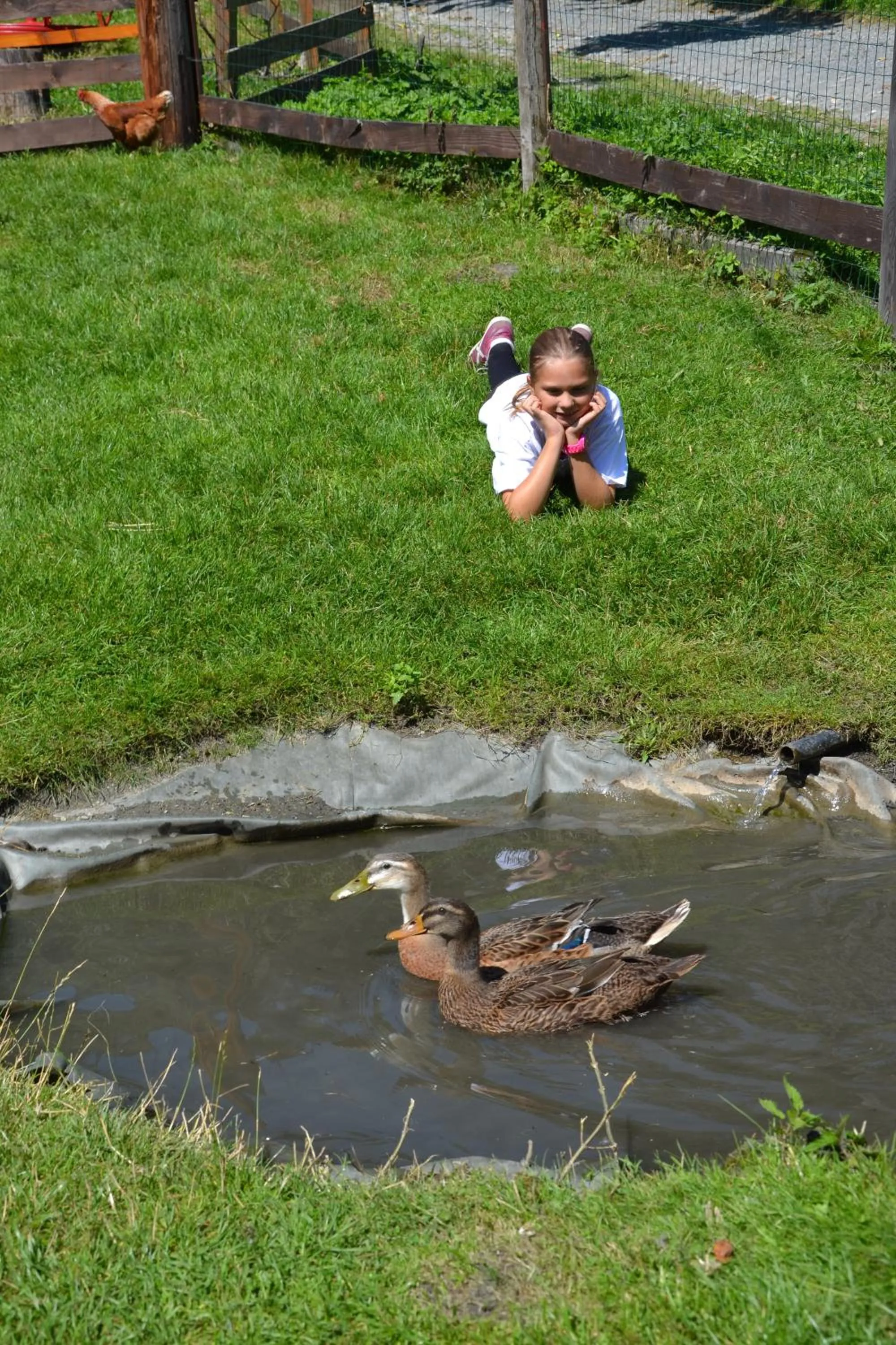 Day in Feriendorf Ponyhof