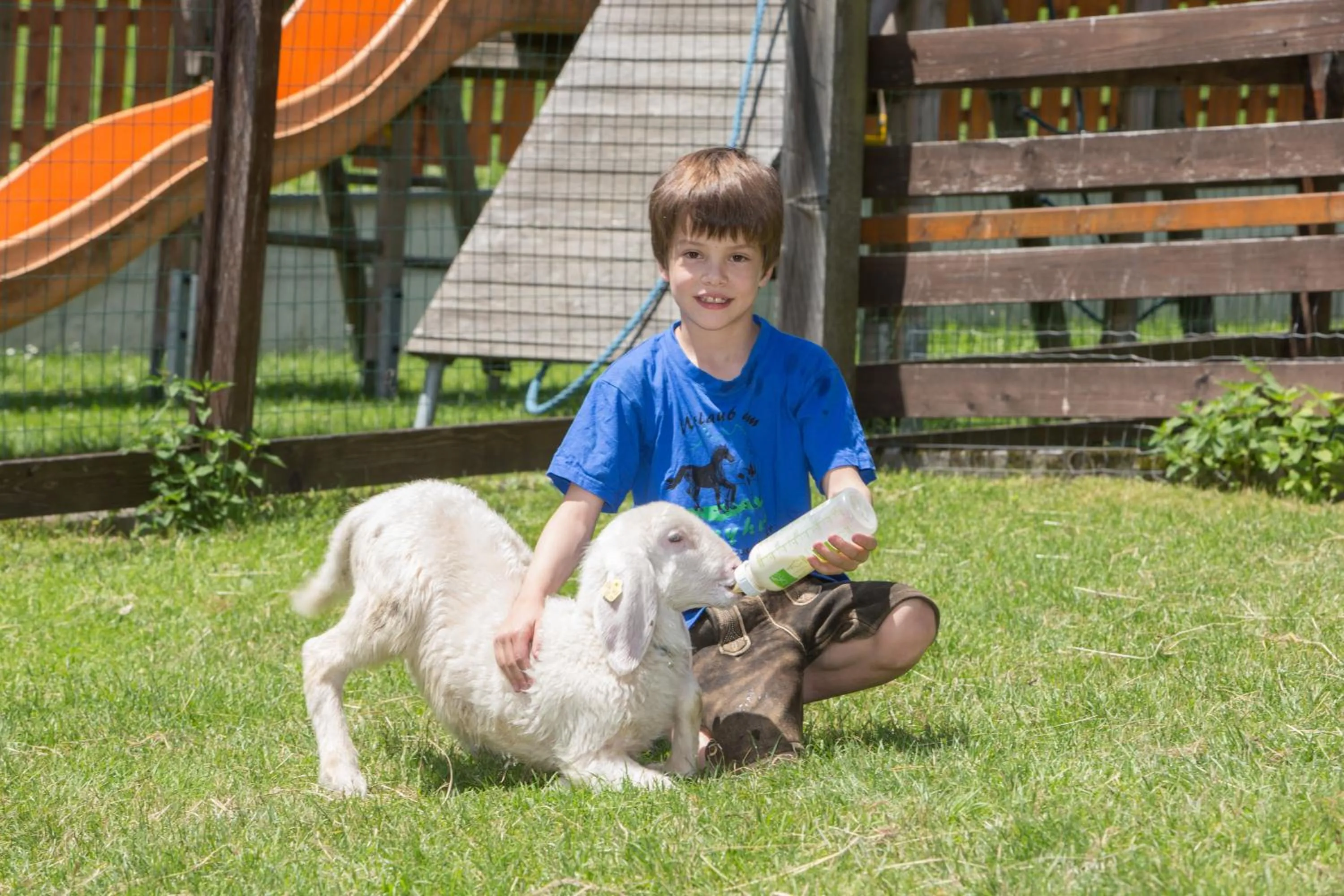 Day in Feriendorf Ponyhof