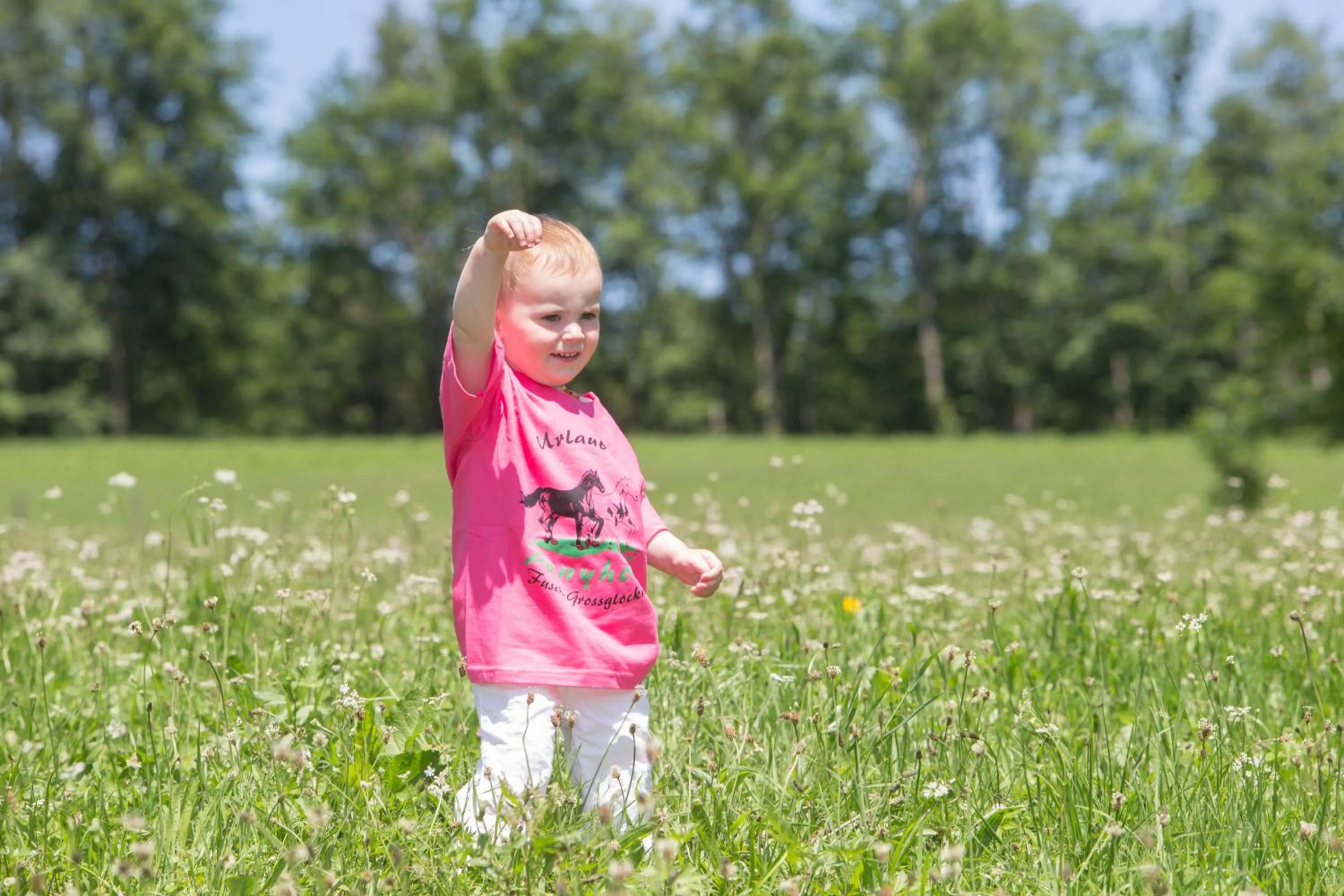 Day in Feriendorf Ponyhof