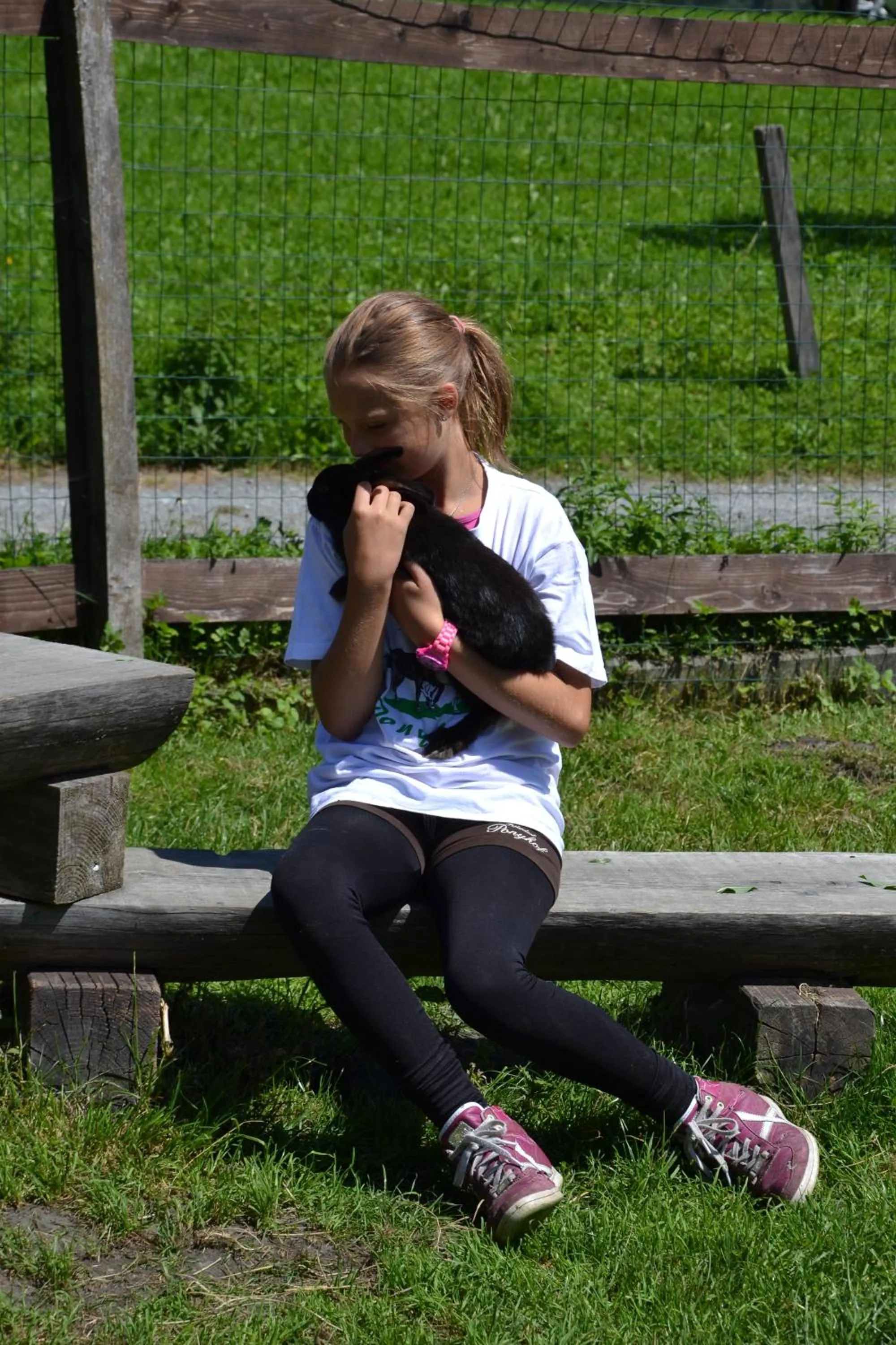 Pets in Feriendorf Ponyhof