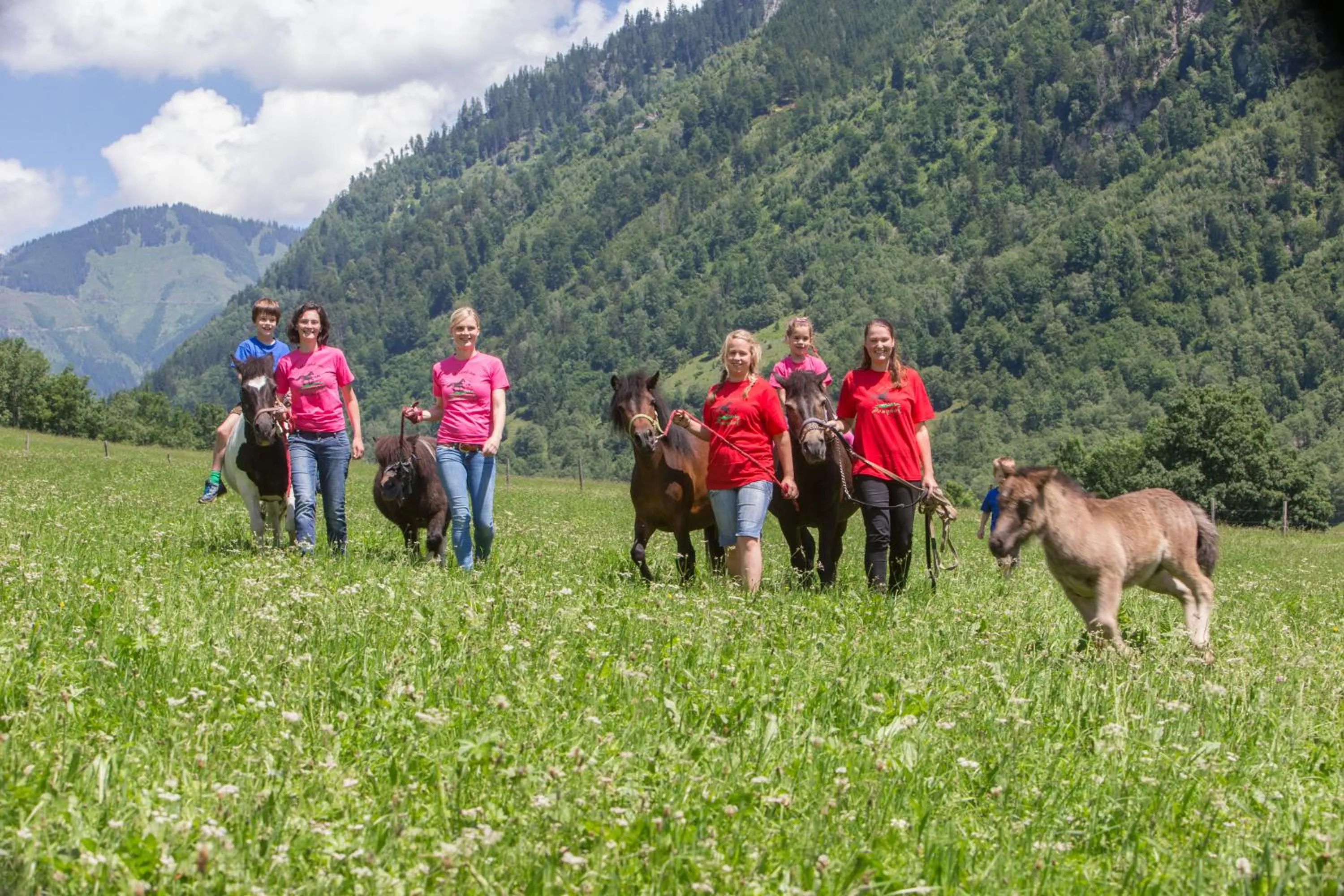 Animals in Feriendorf Ponyhof