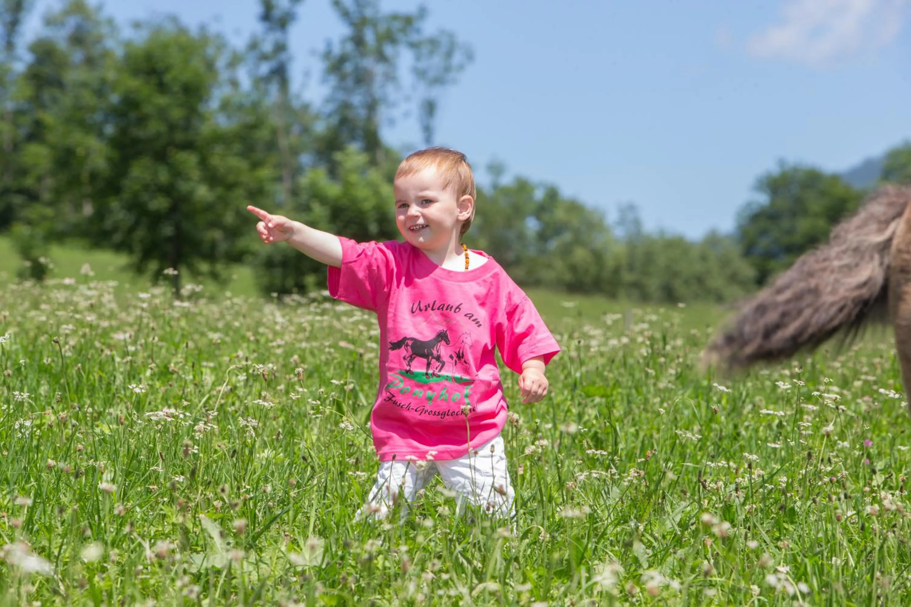 young children in Feriendorf Ponyhof
