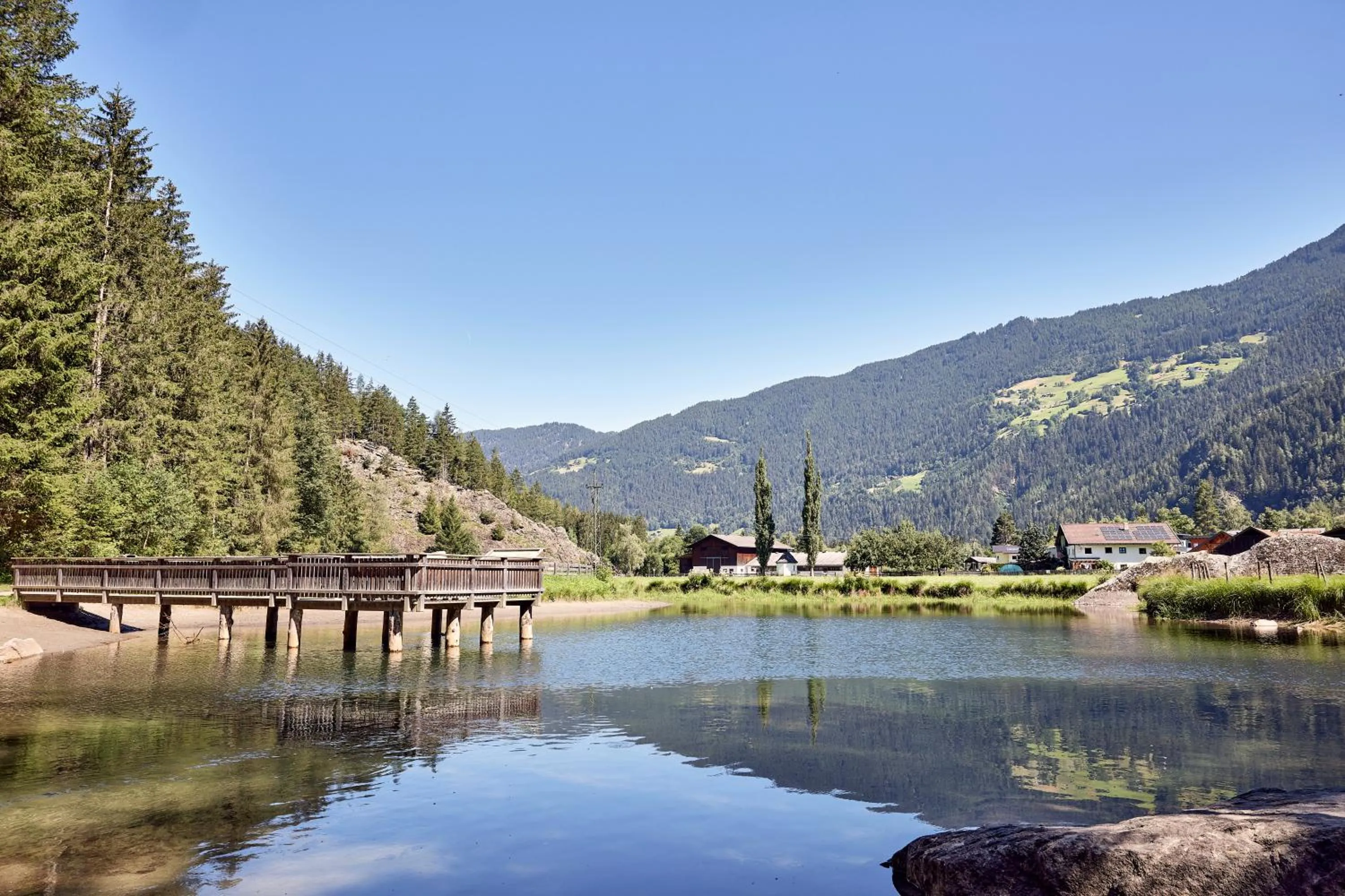 Natural landscape in Aktivhotel Waldhof
