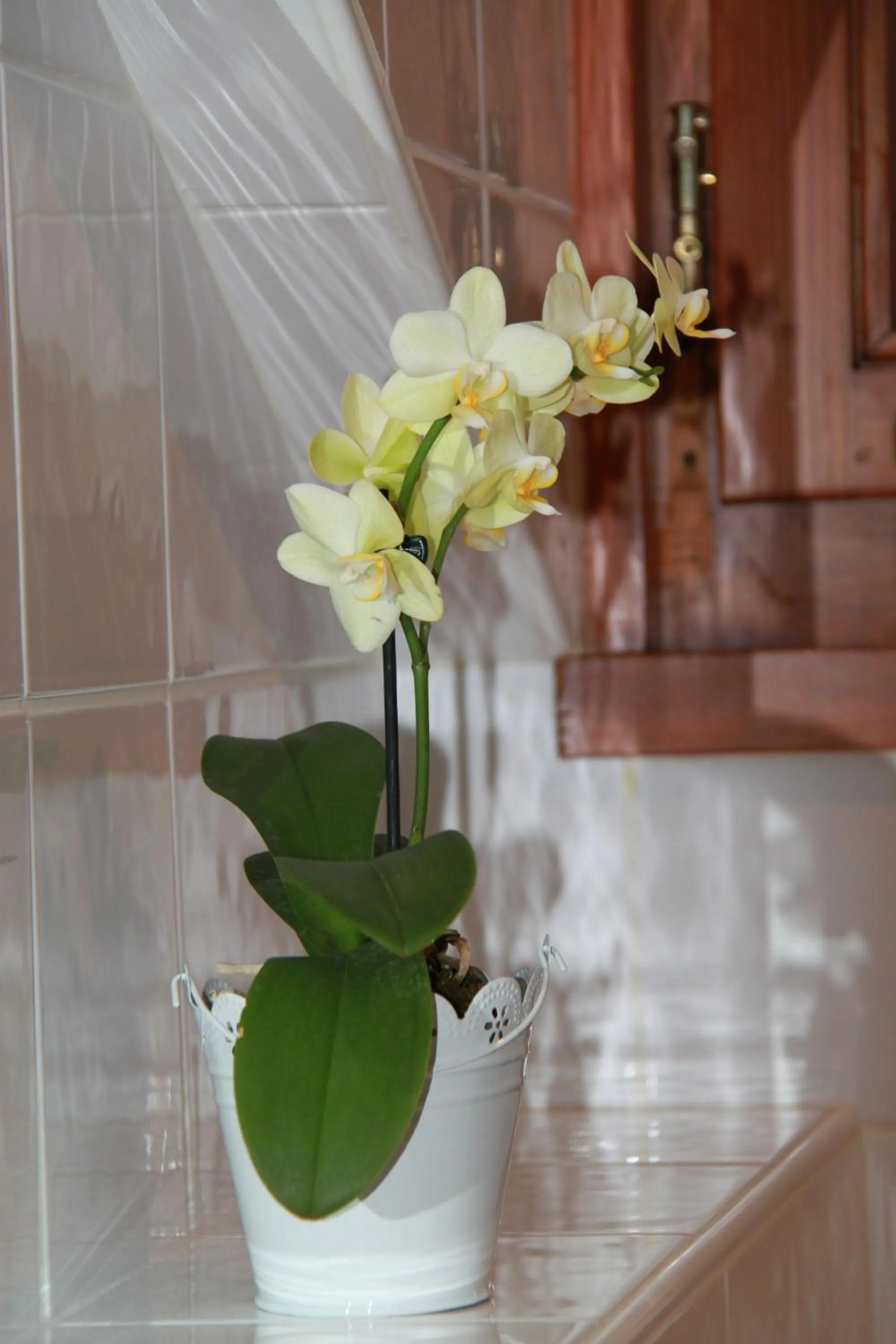 Decorative detail in Hôtel Restaurant Du Port