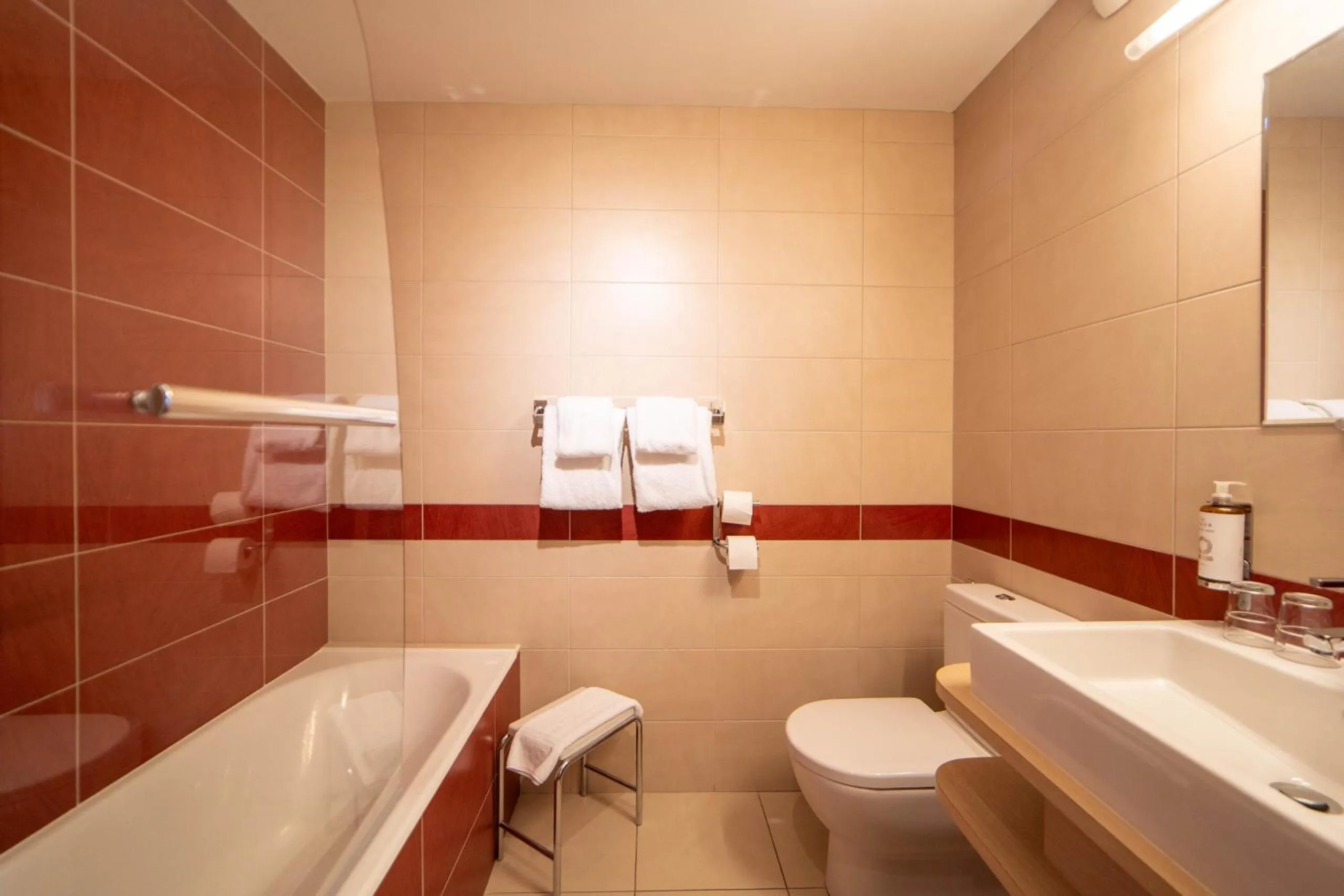 Toilet in Hôtel Wilson - Teritoria