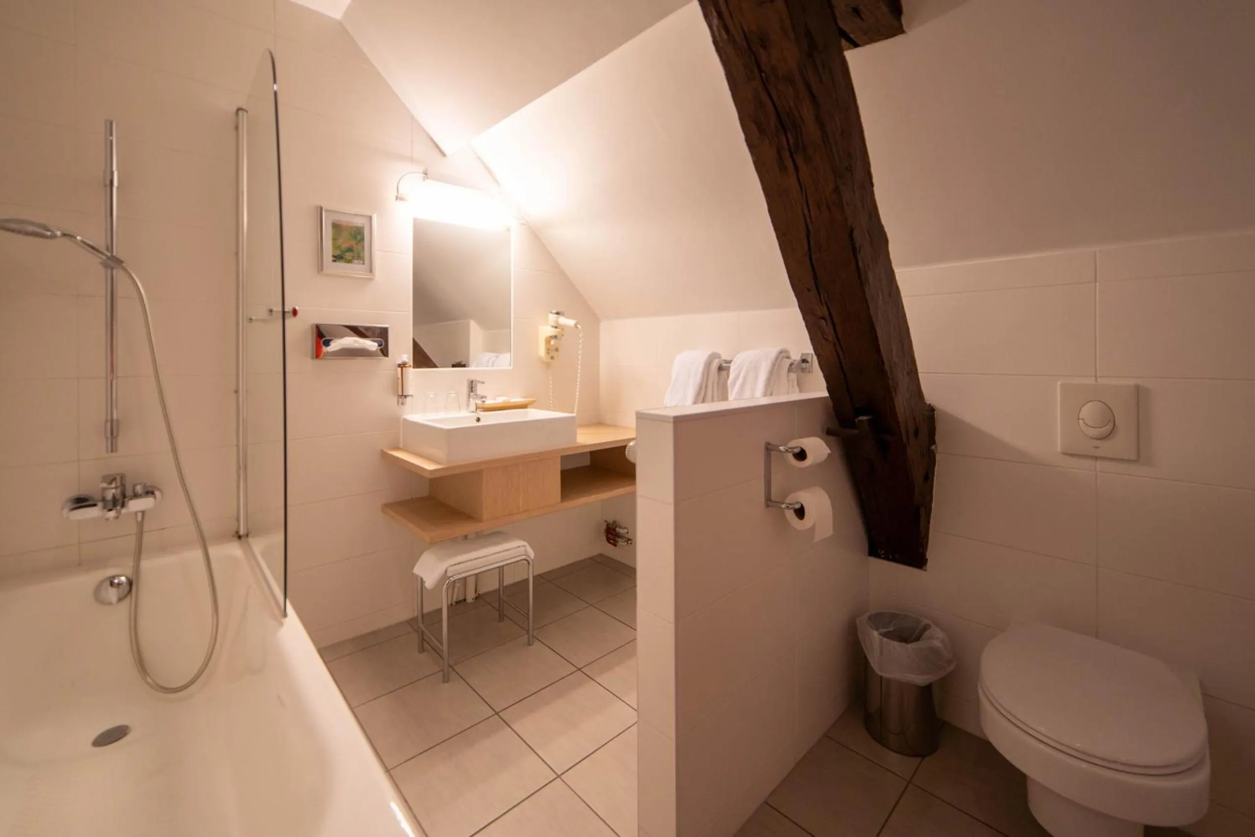 Toilet in Hôtel Wilson - Teritoria