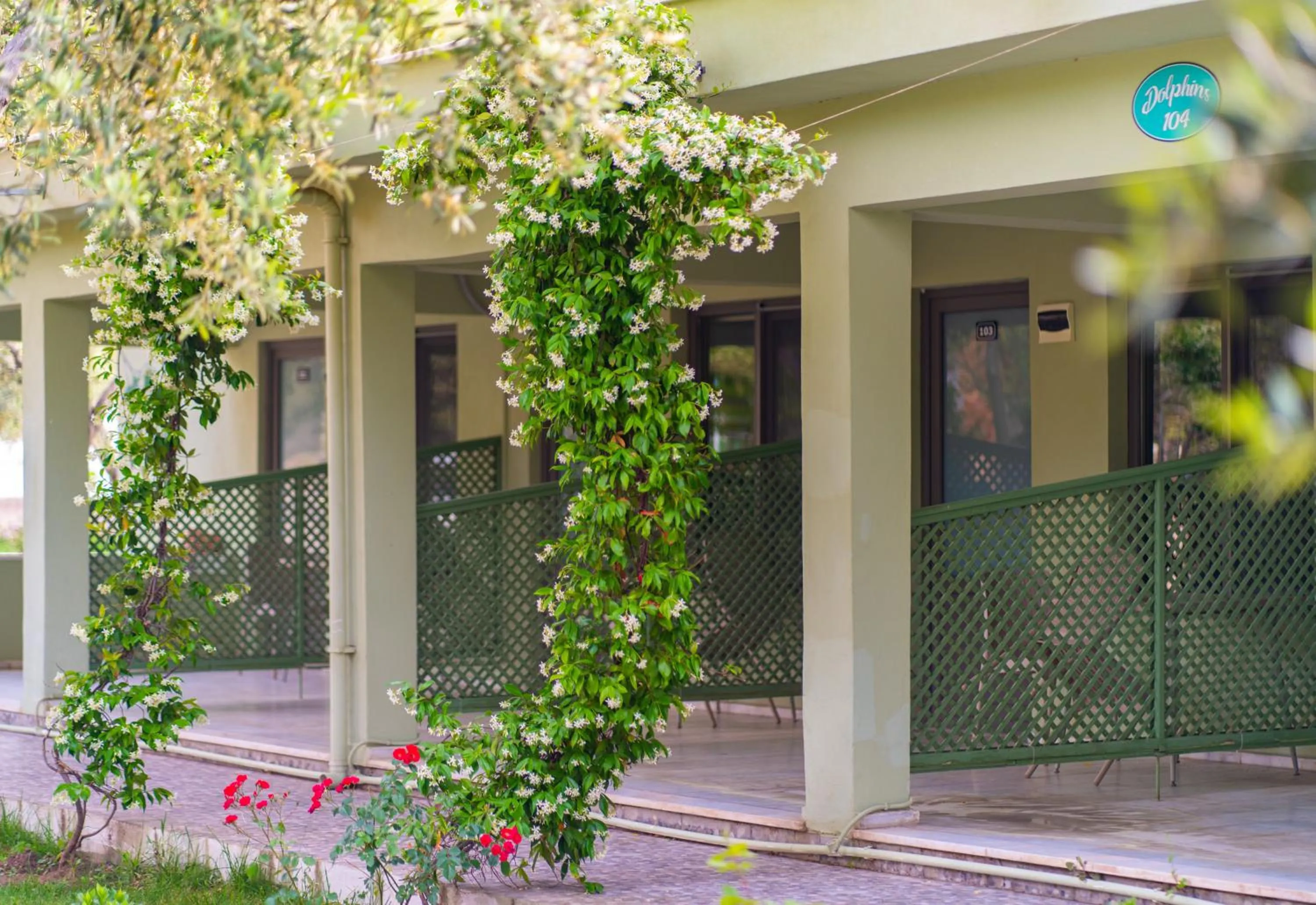 Garden in Kayalar Blue Beach Hotel