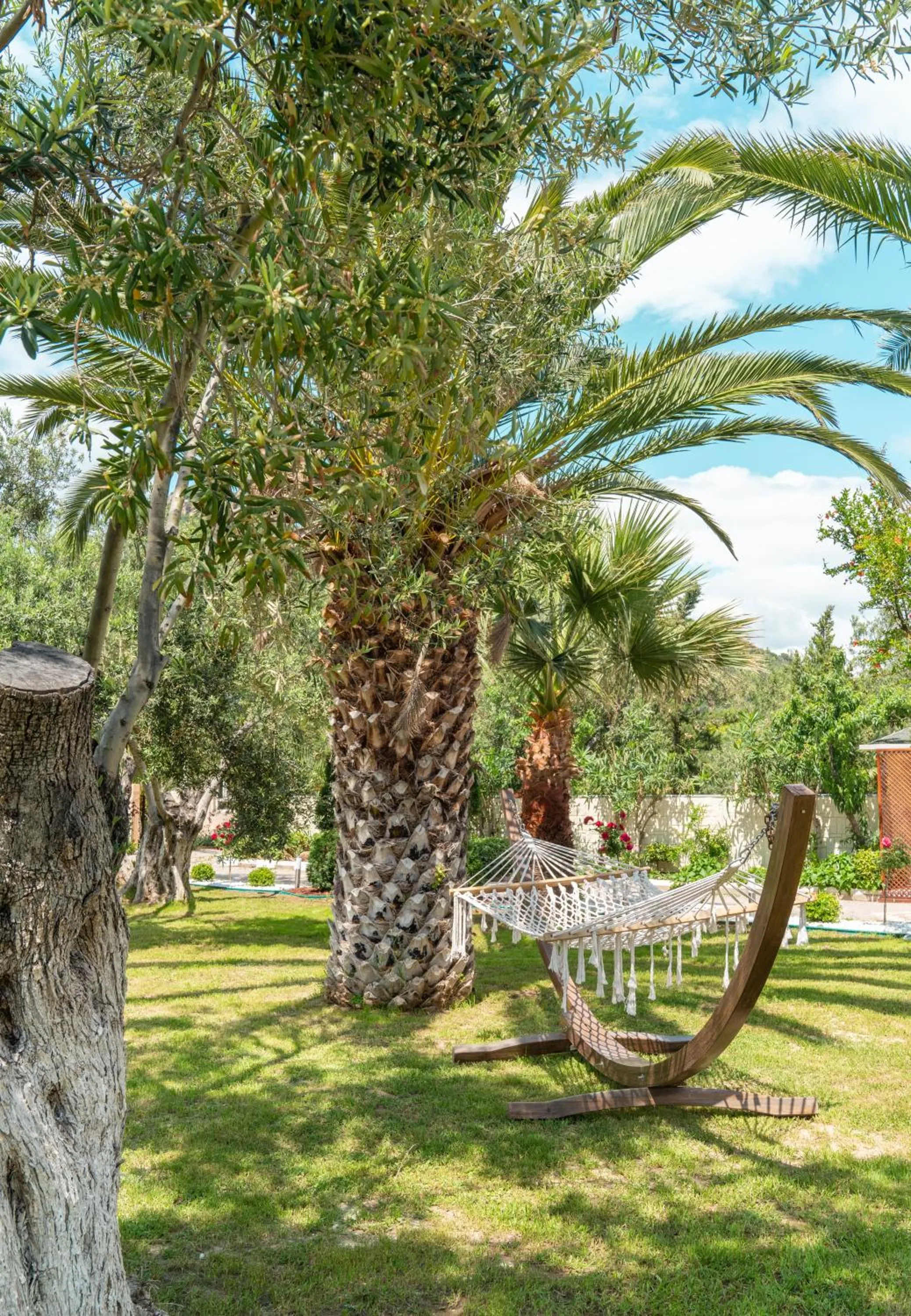Garden in Kayalar Blue Beach Hotel