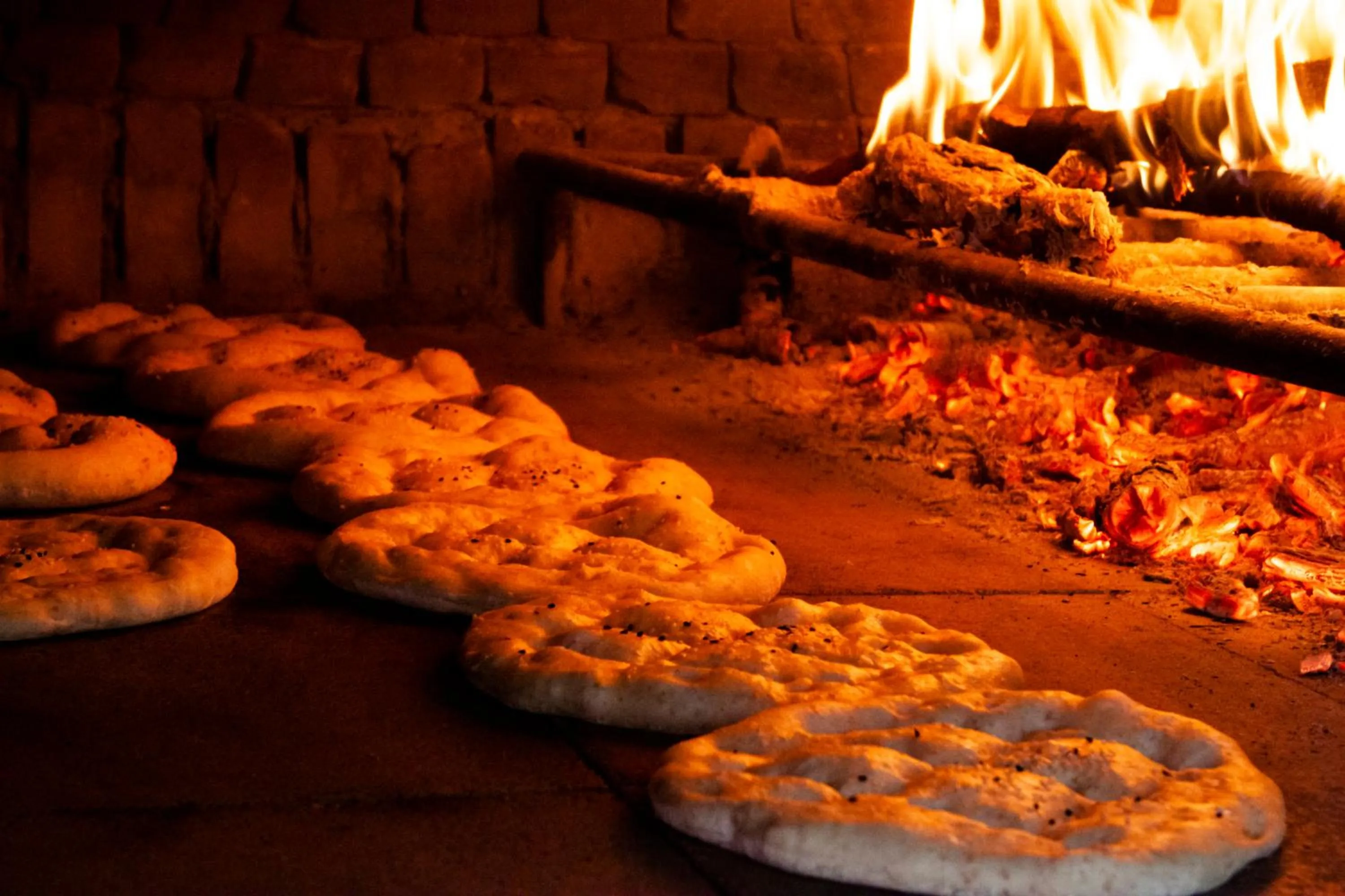 pet friendly in Kayalar Blue Beach Hotel