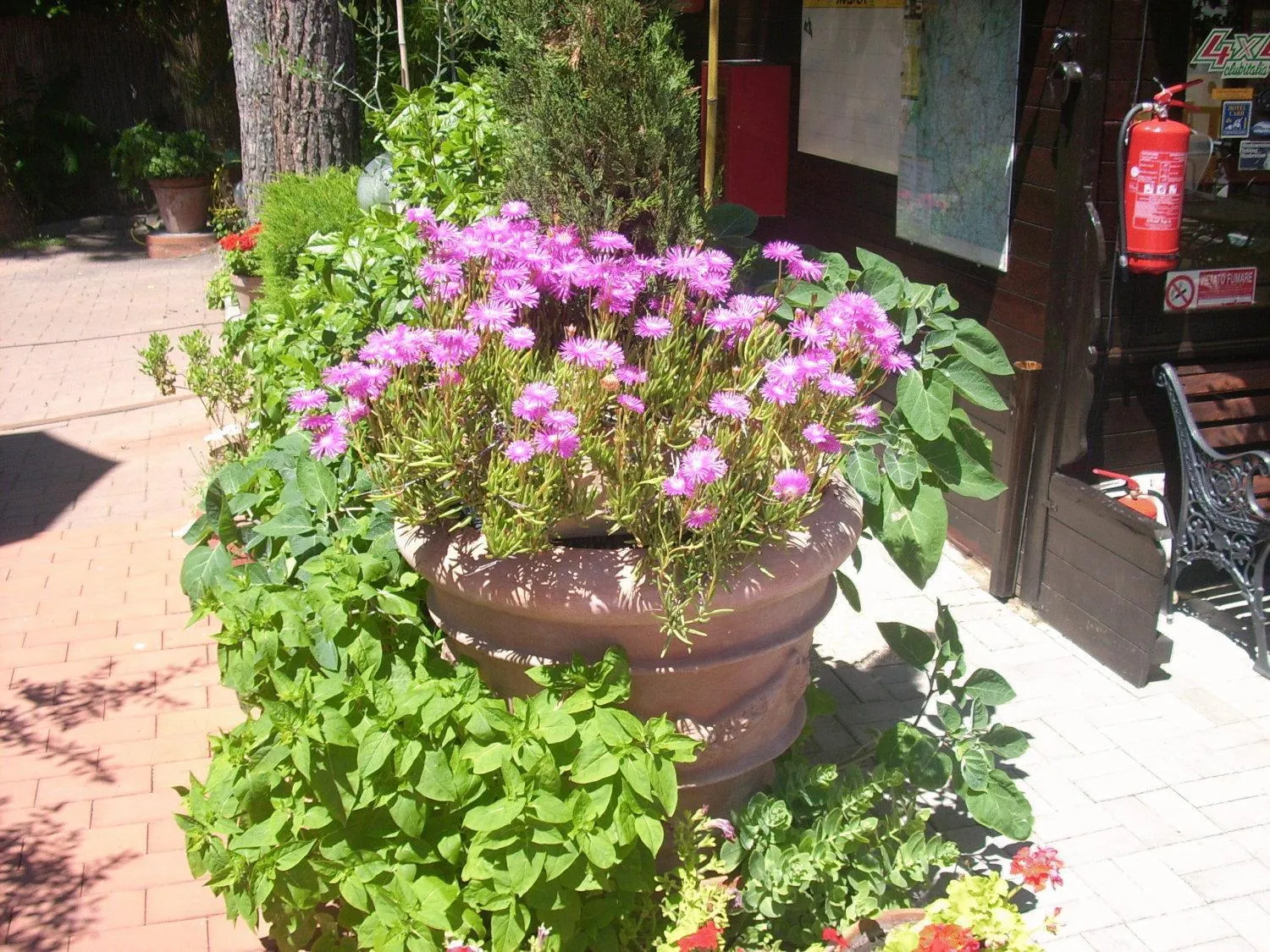 Day in Residence Al Lago