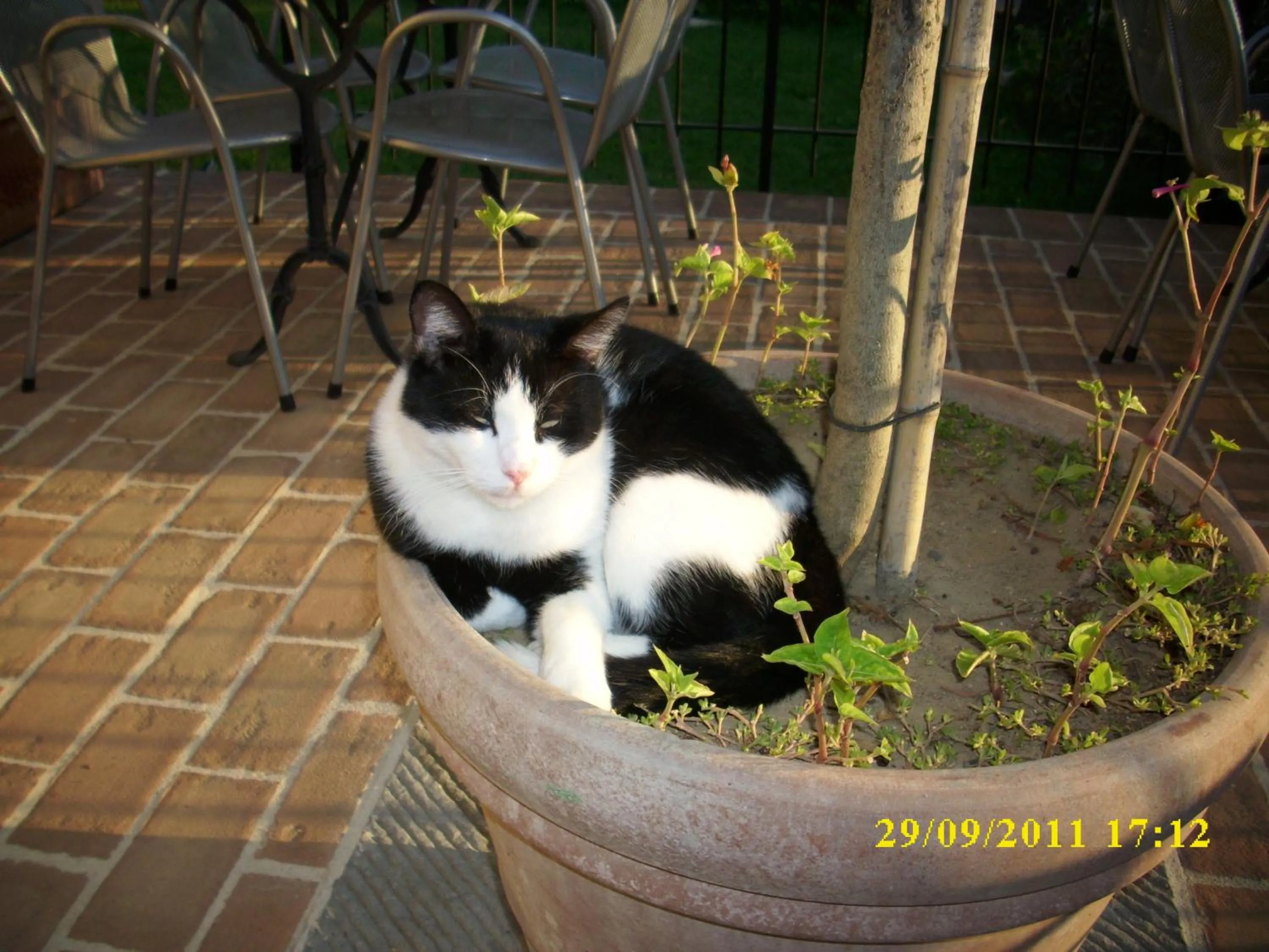 Night in Residence Al Lago