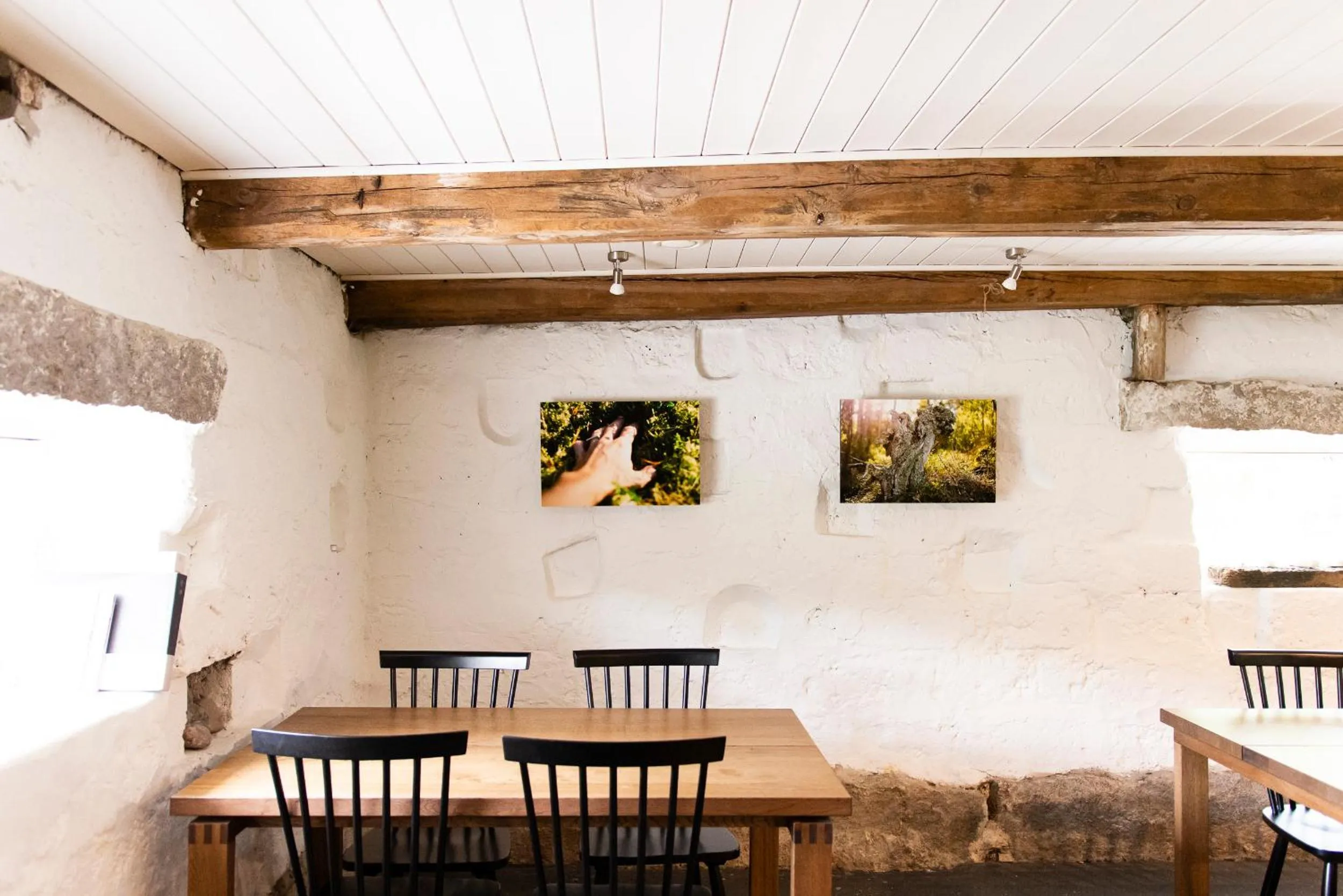 Hotel Nestor & Restaurant Back Pocket