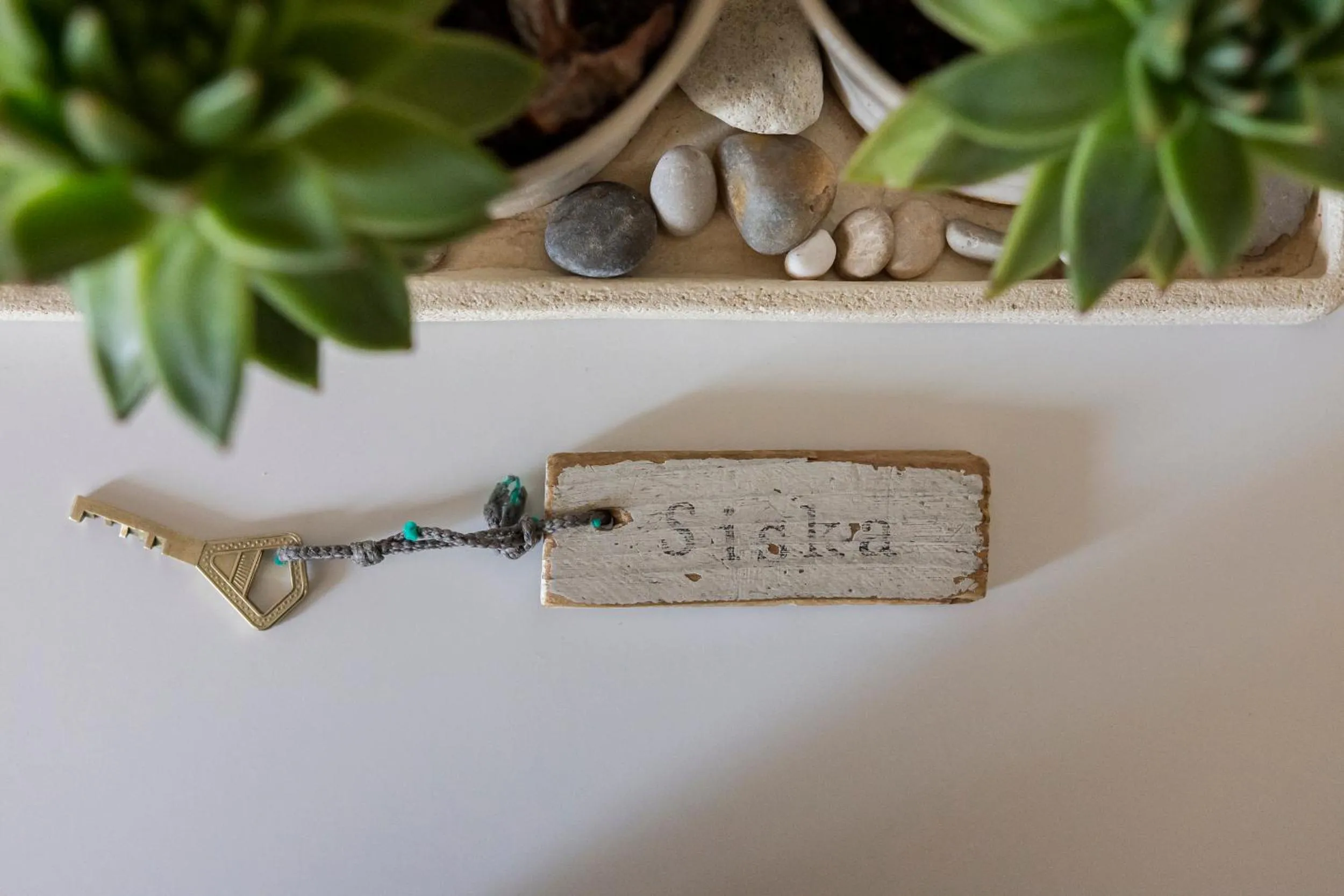 Hotel Nestor & Restaurant Back Pocket