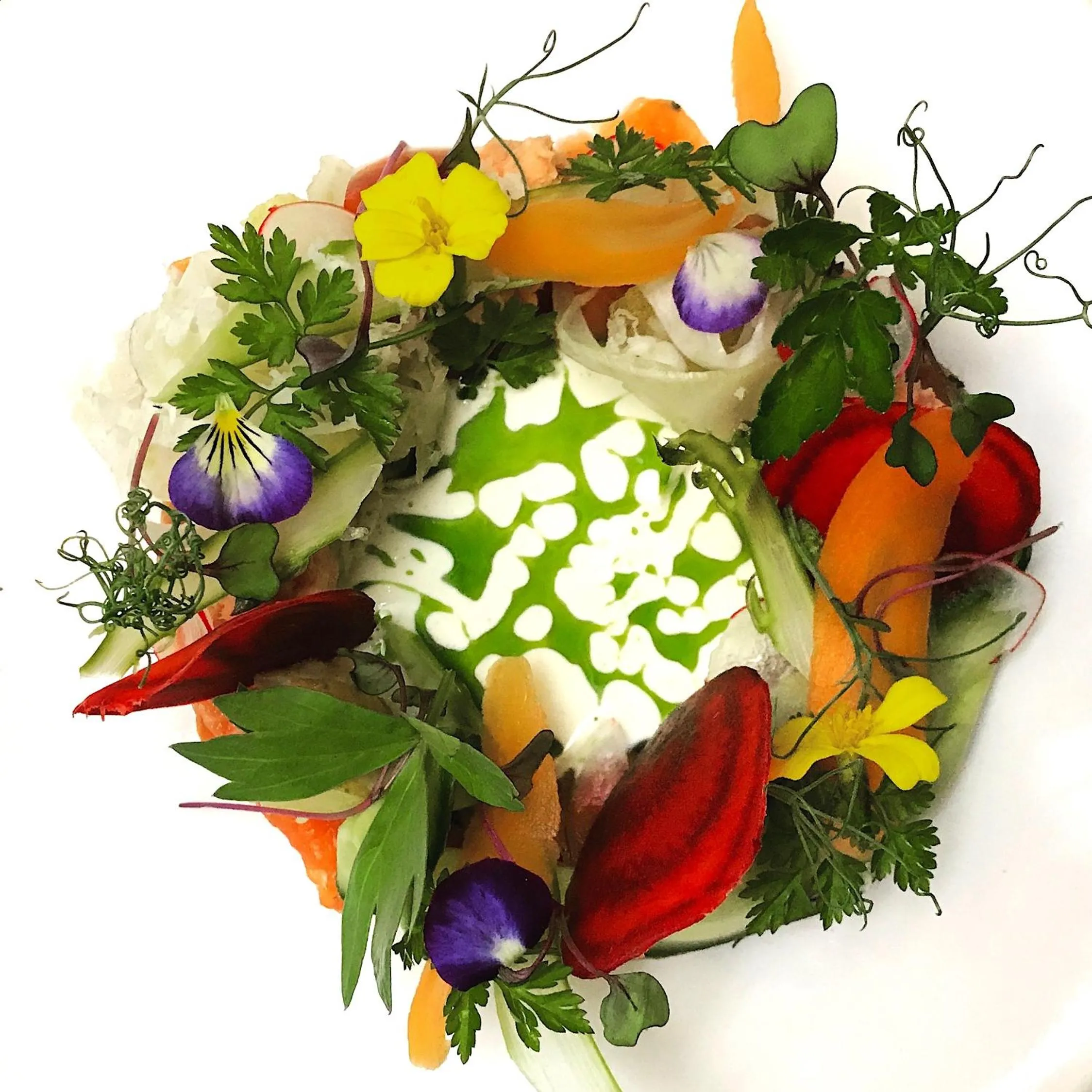 Food close-up in Hotel Nestor & Restaurant Back Pocket