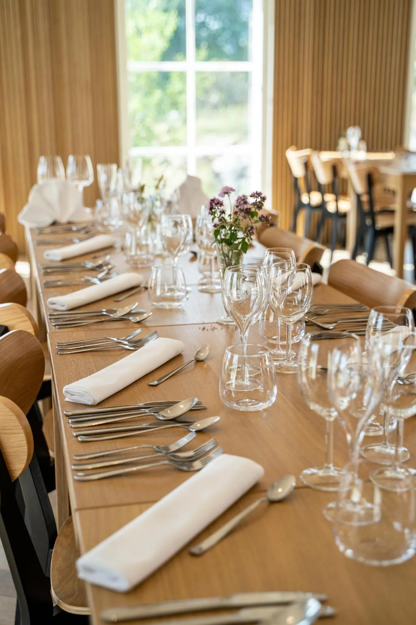 Hotel Nestor & Restaurant Back Pocket