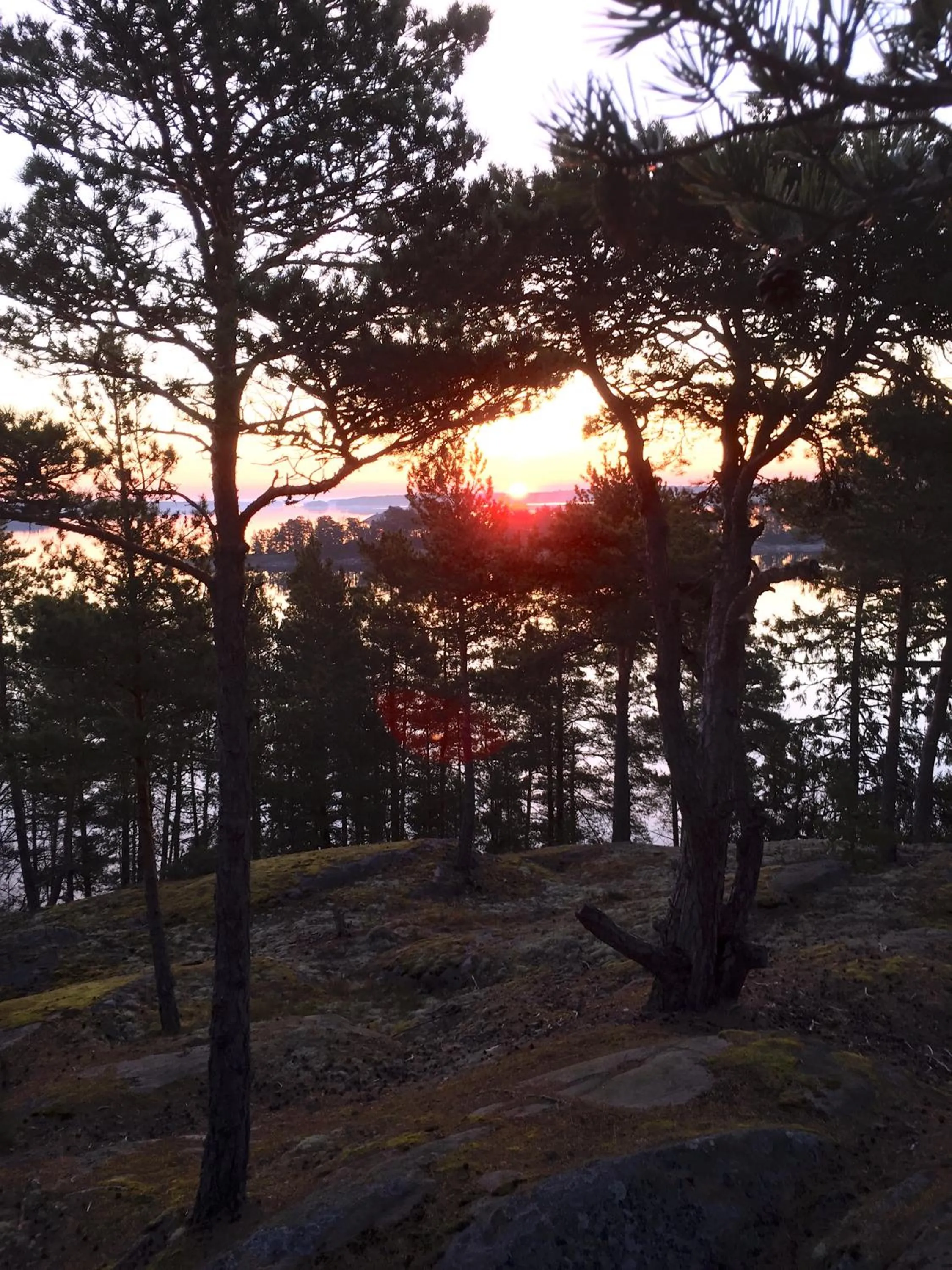 Hotel Nestor & Restaurant Back Pocket