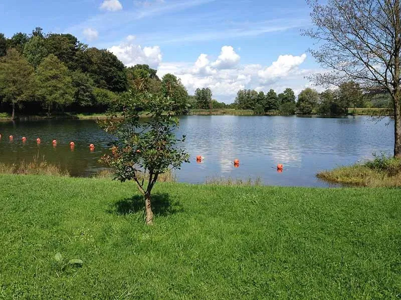 Open Air Bath in Hotel Zum Rebstock