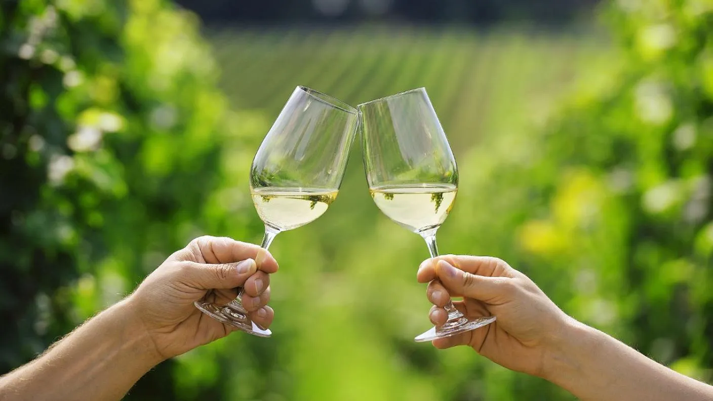 Drinks in Hotel Zum Rebstock