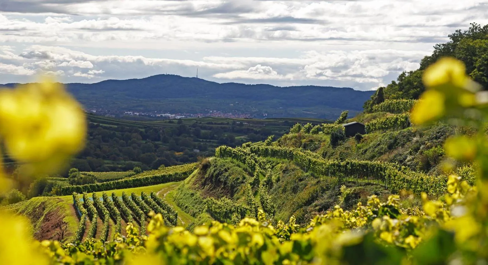 Hiking in Hotel Zum Rebstock