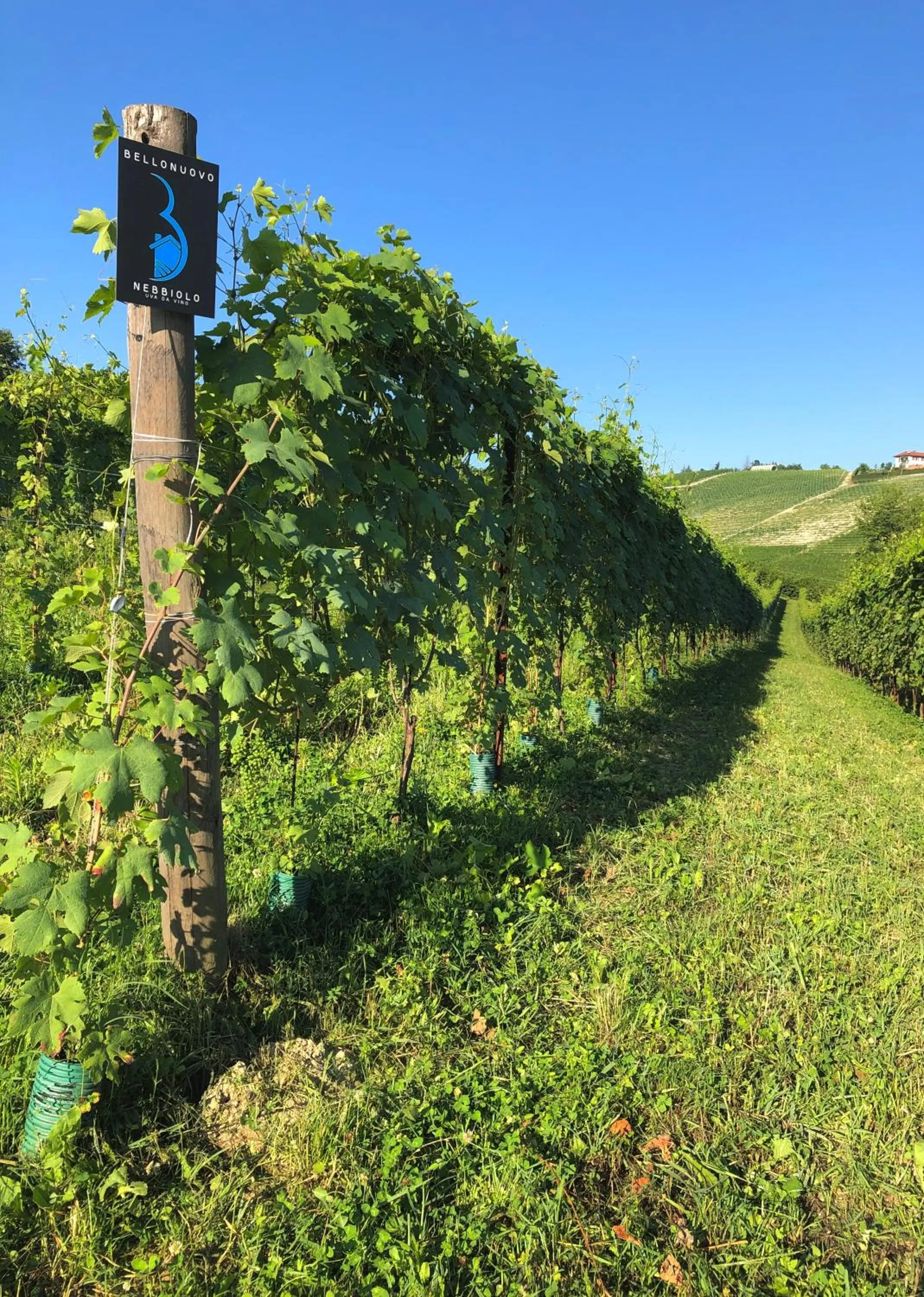 Hiking in Cascina BELLONUOVO
