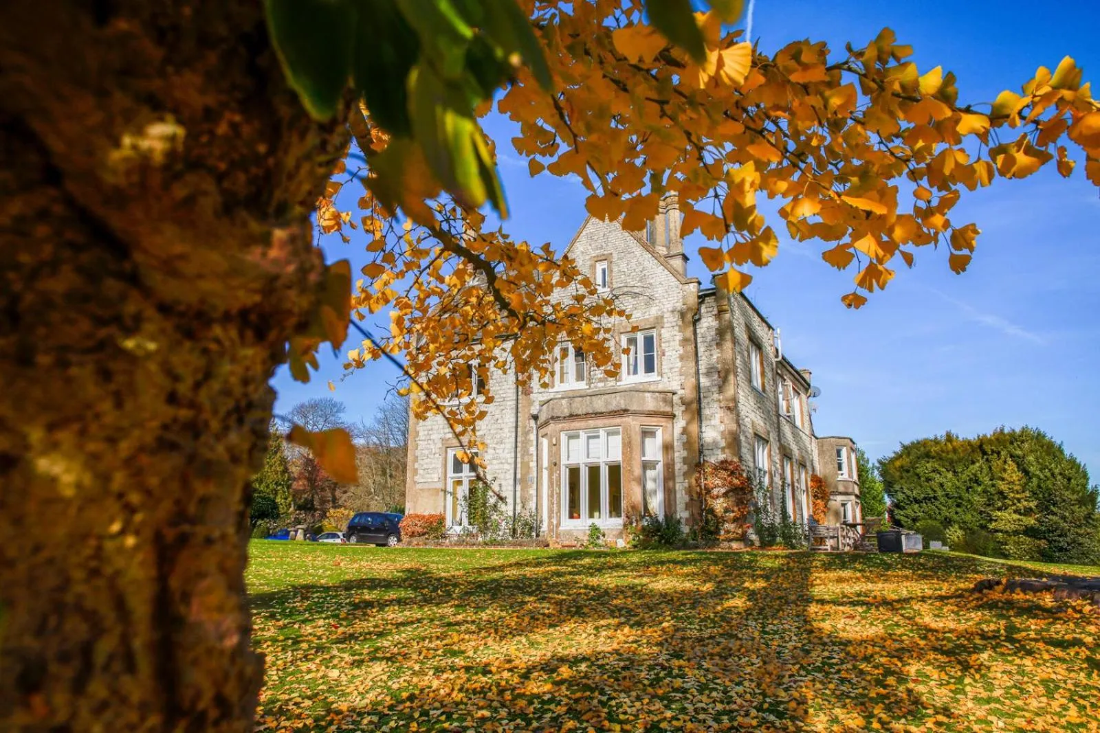 Garden in Langrish House