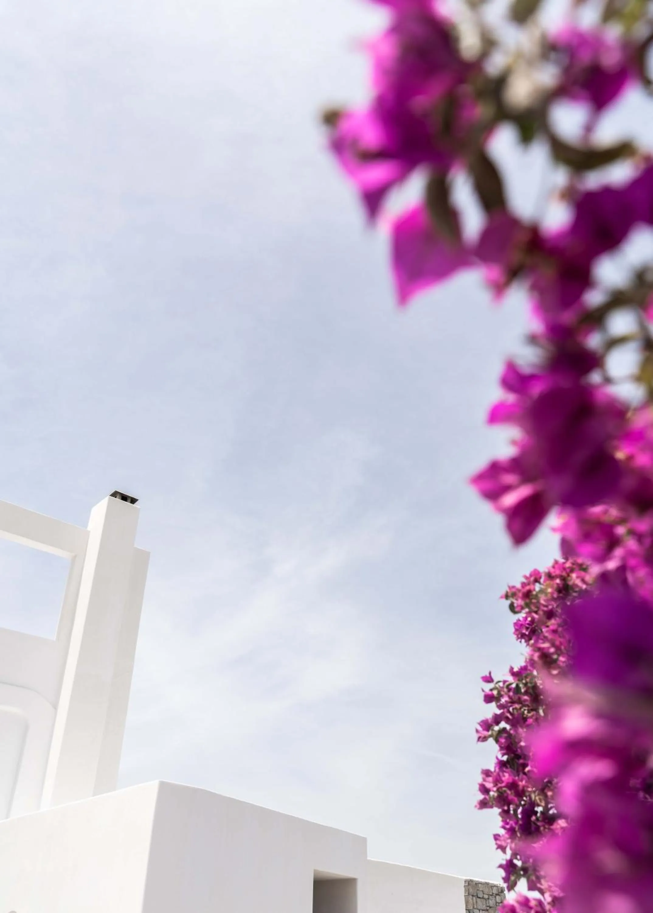 Garden in Philosophy of Mykonos Boutique Hotel