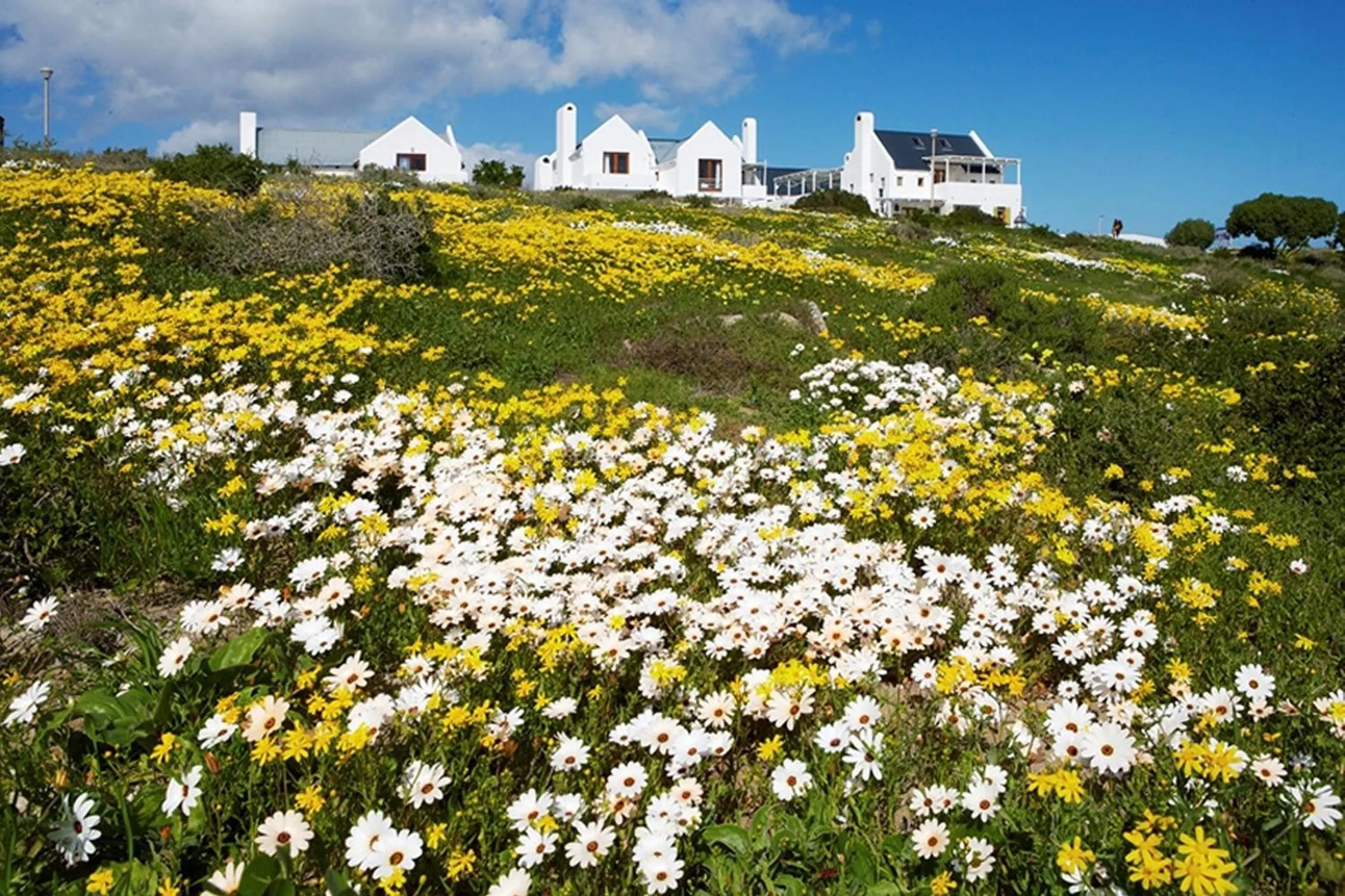 Garden view in Abalone Hotel & Villas