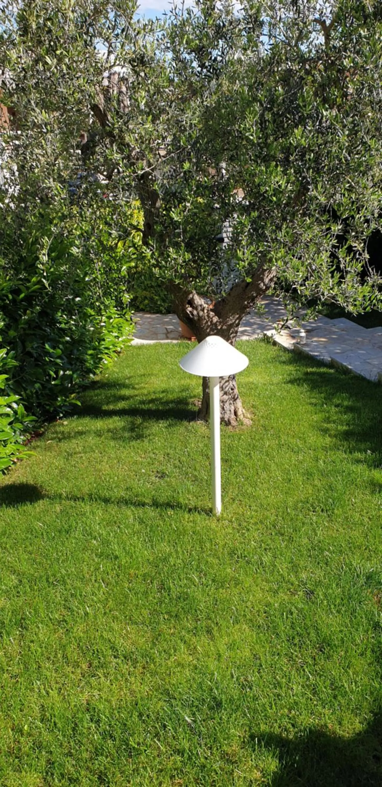 Garden in Casa Riccardo Urban B&Bio