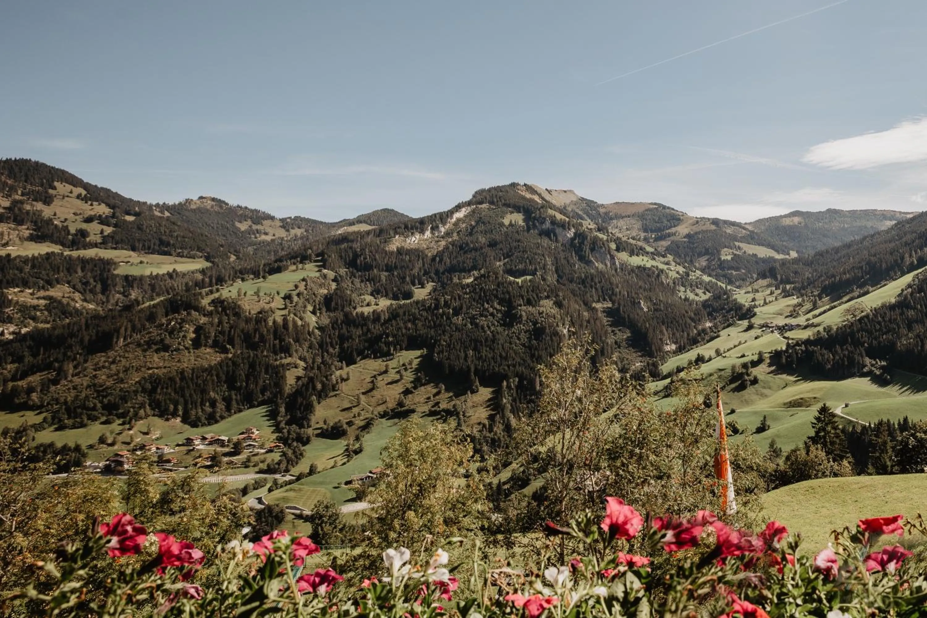 View (from property/room) in Berghotel Alpenklang