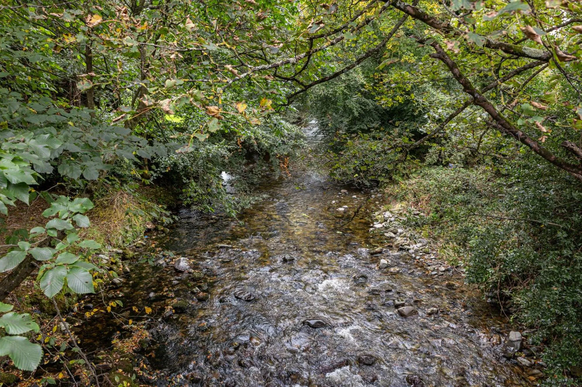 Natural landscape in Priest Bridge Cottage