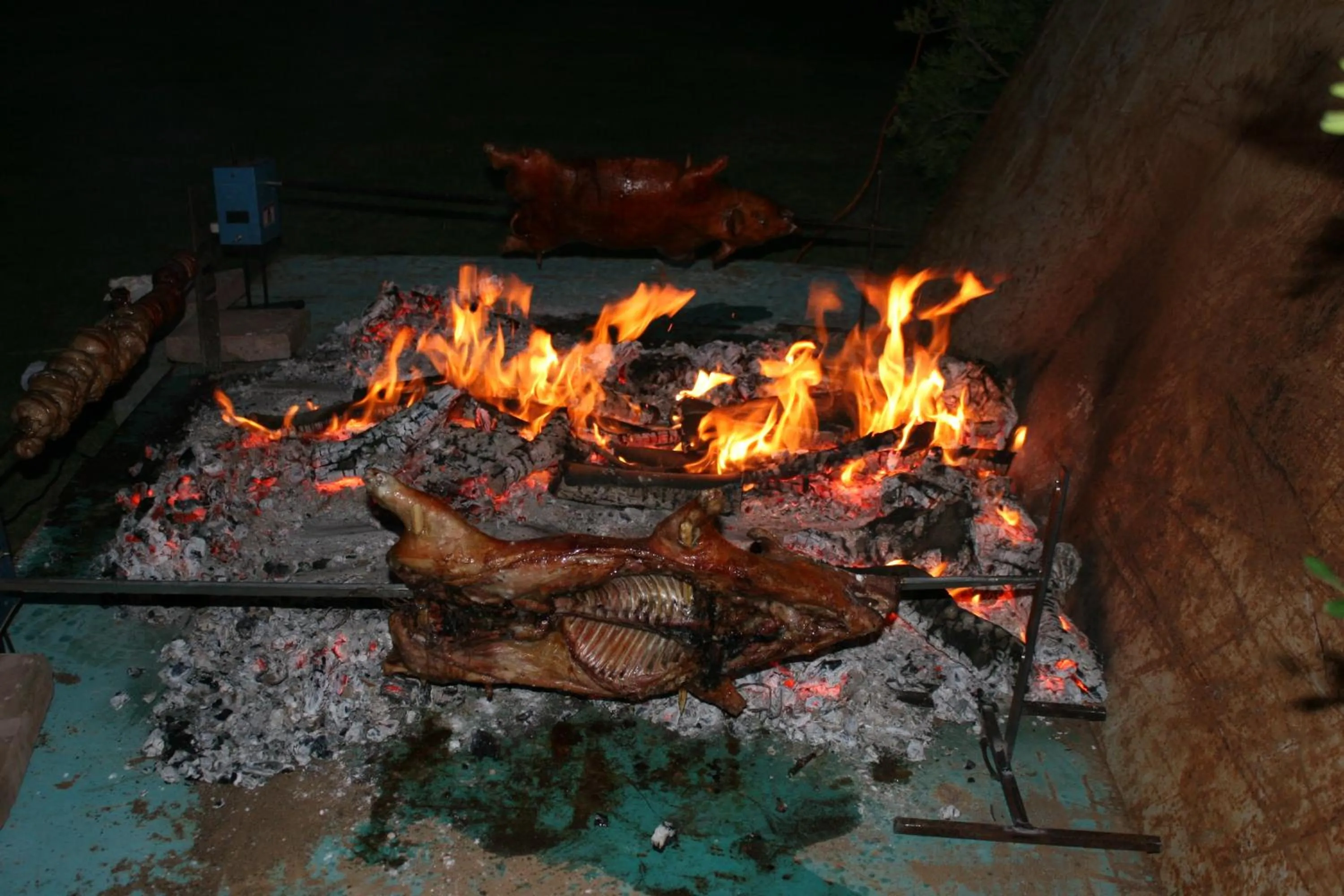 Restaurant/places to eat in Hotel Spartivento