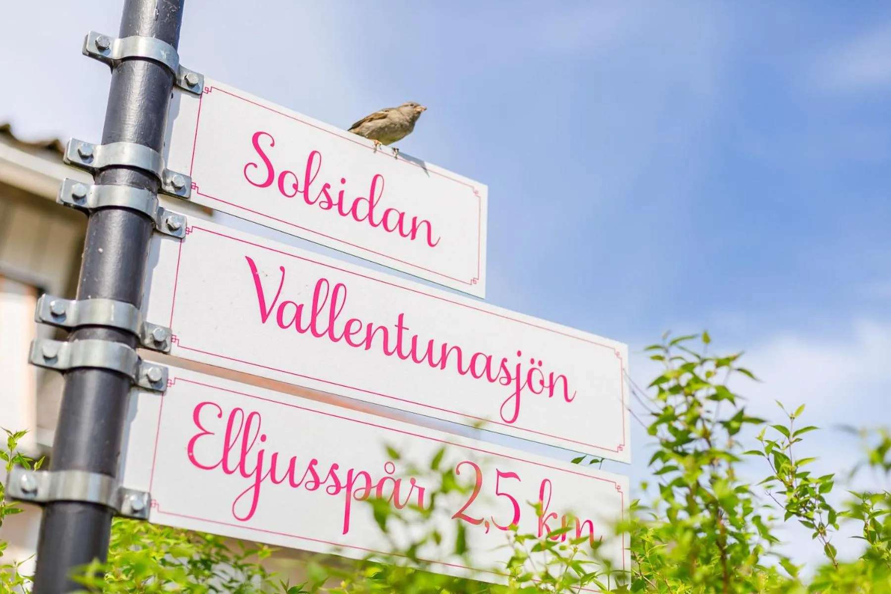 Logo/Certificate/Sign in Såstaholm Hotell & Konferens