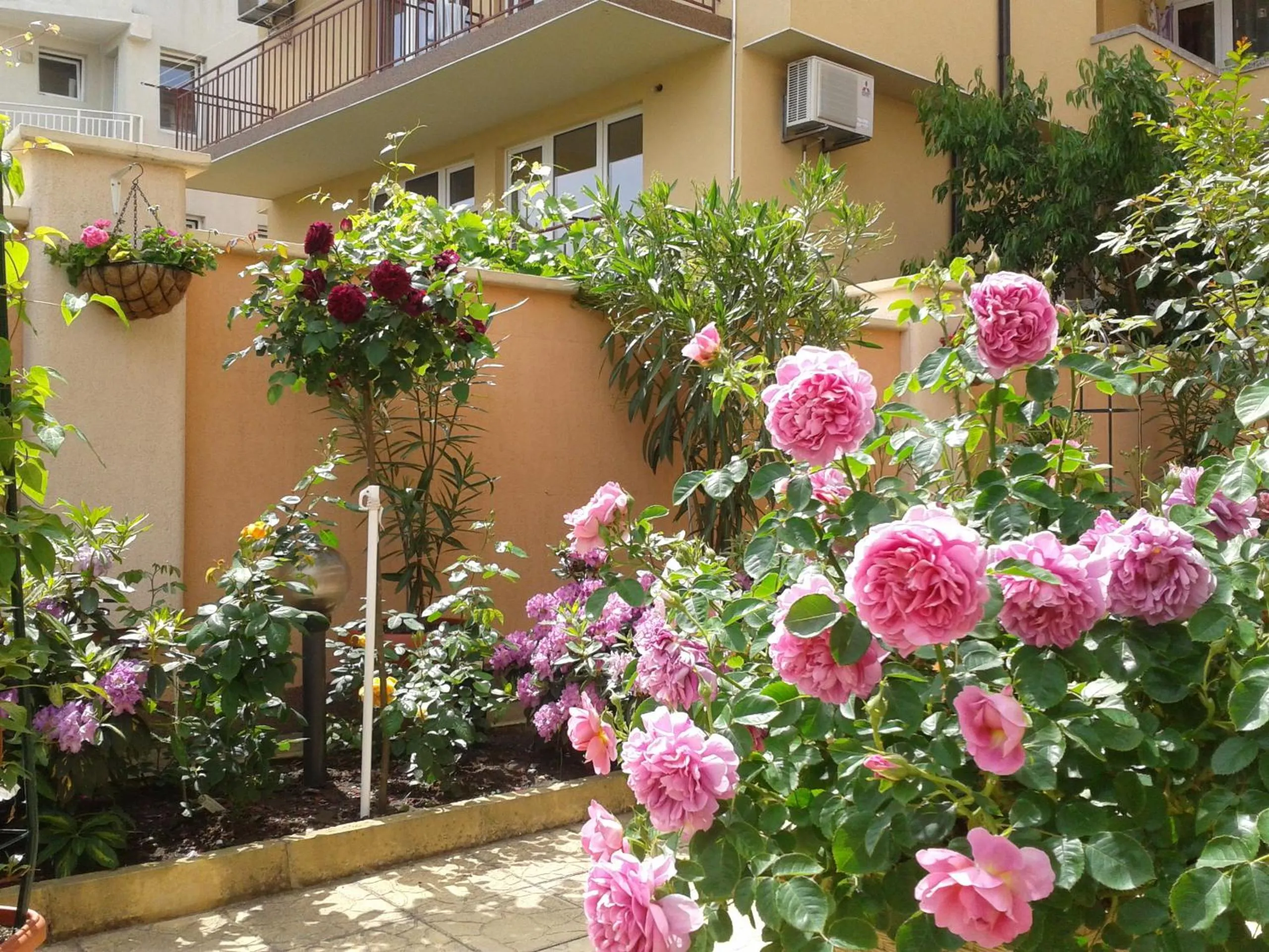 Garden in Hotel Chuchulev