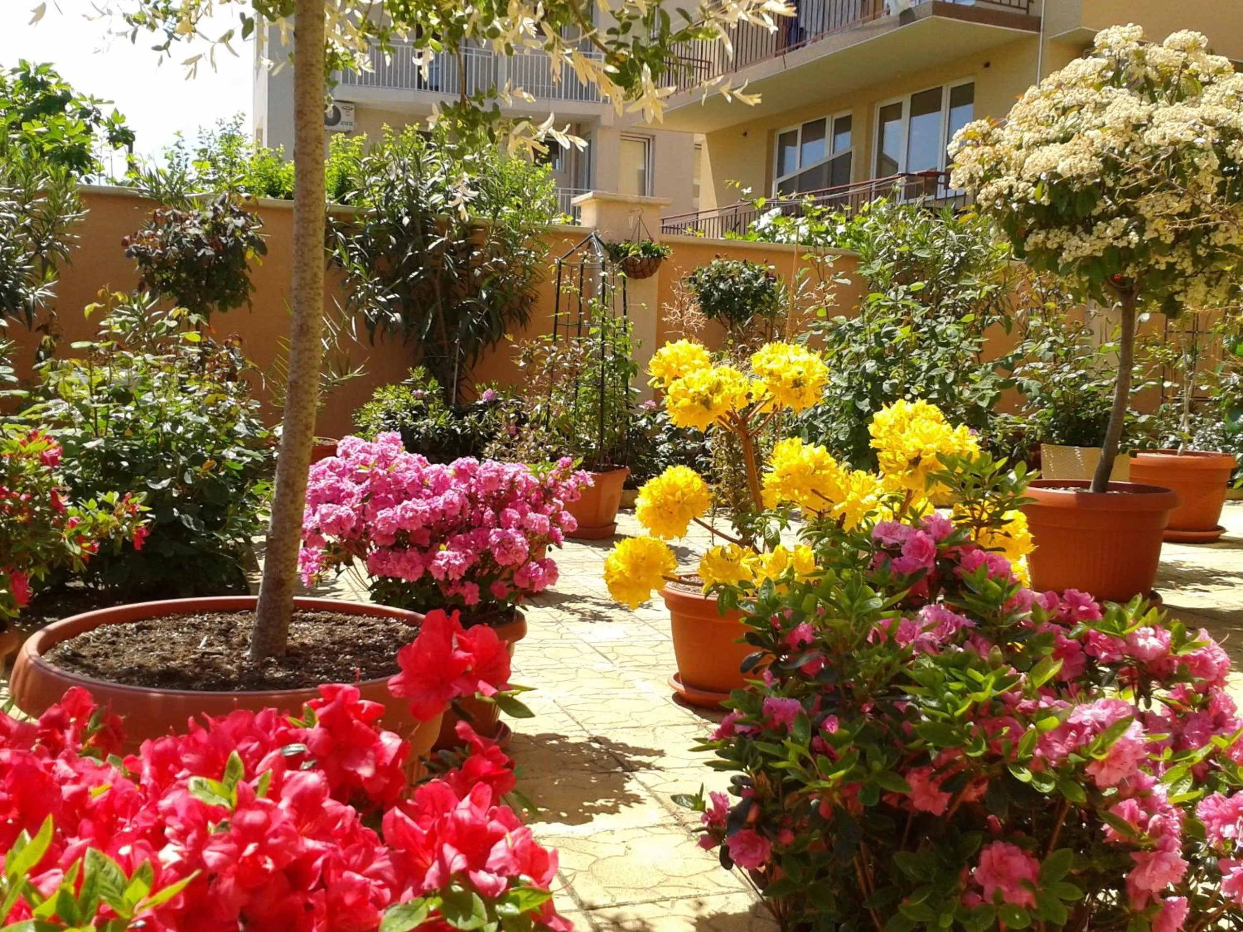 Garden in Hotel Chuchulev