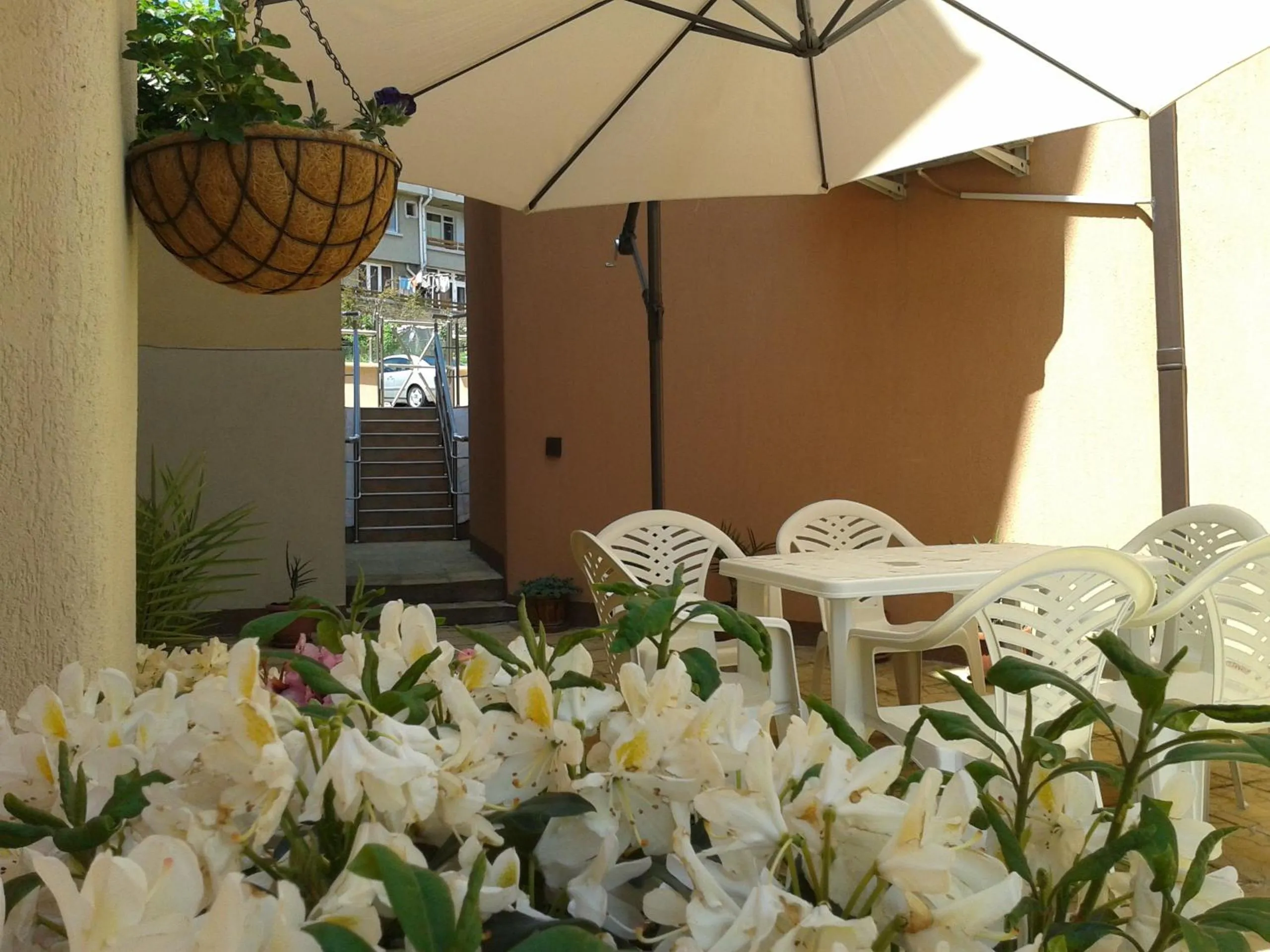 Garden in Hotel Chuchulev