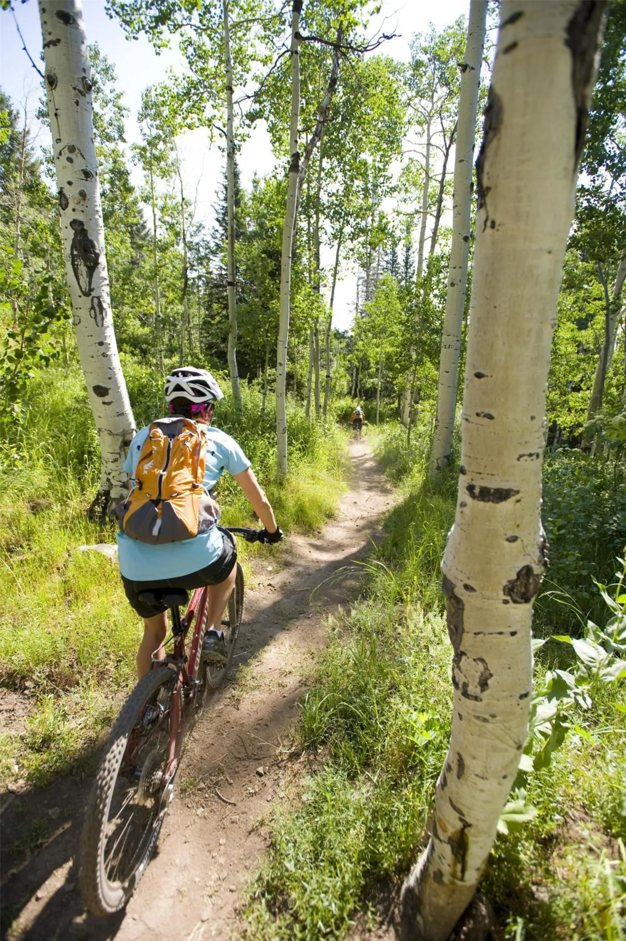 Location in Hyatt Centric Park City