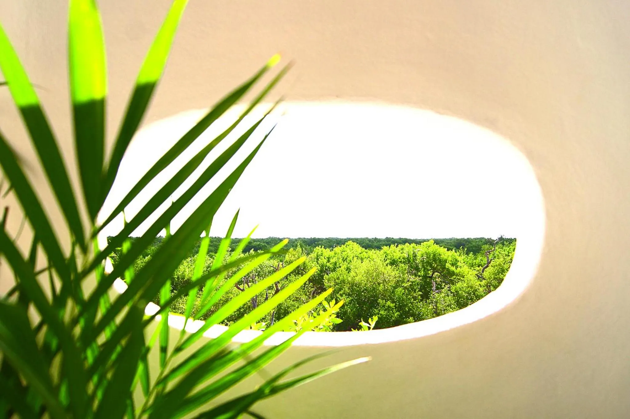 Garden view in Hotel Villas Flamingos