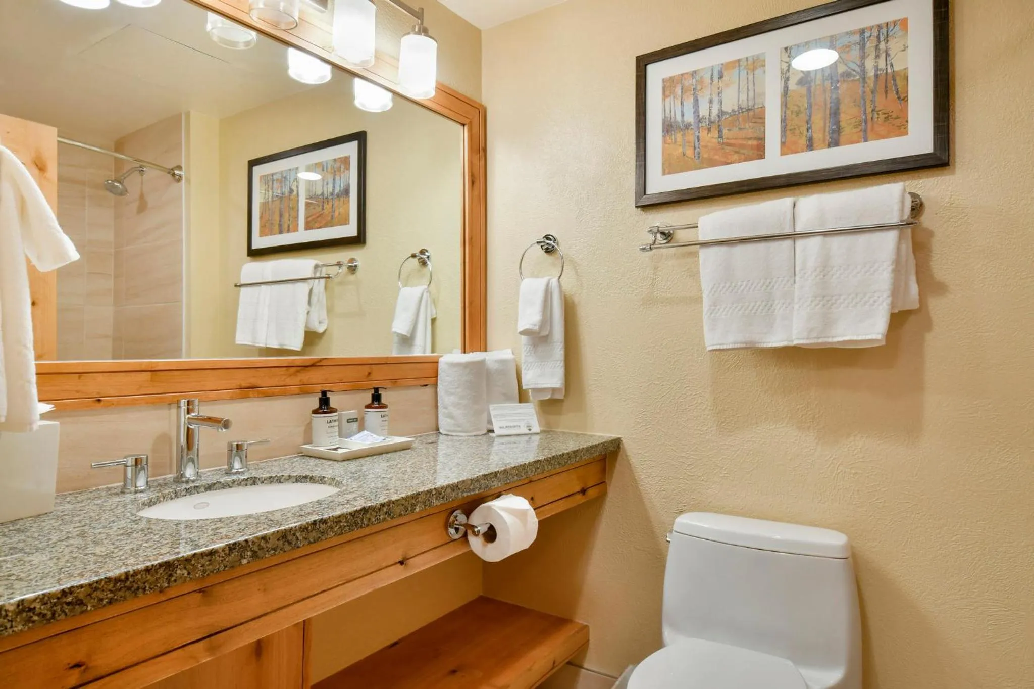 Bathroom in Grand Summit Hotel - Canyons Village, a RockResort