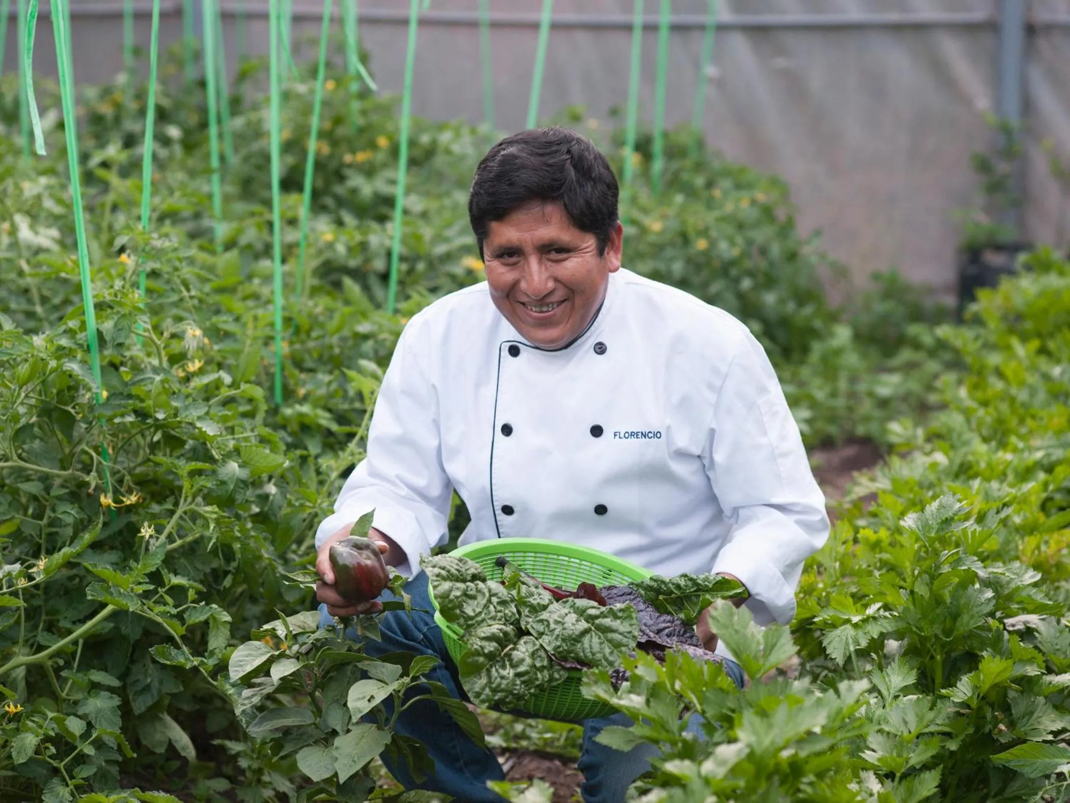 Garden in Willka T'ika