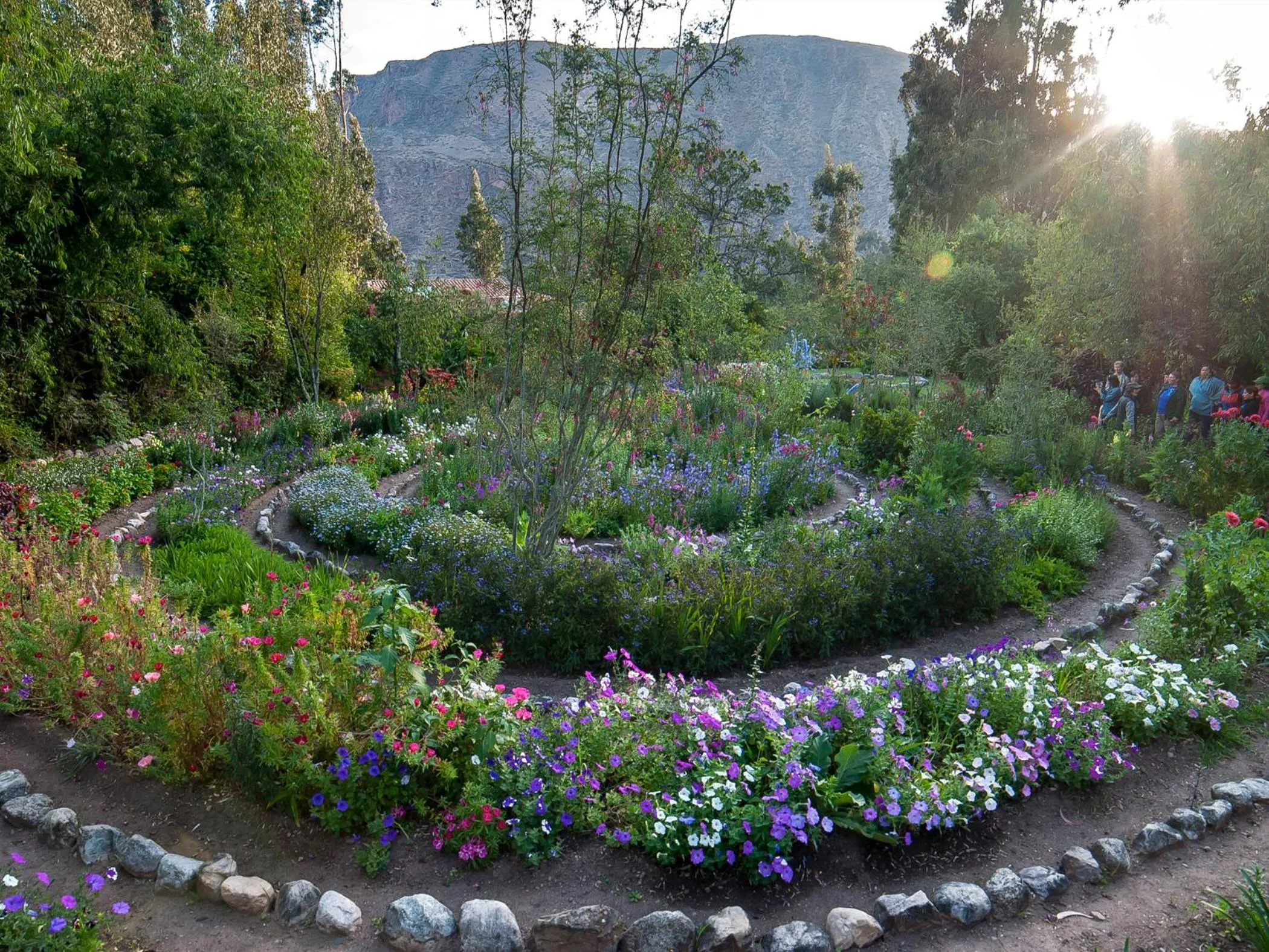 Activities in Willka T'ika