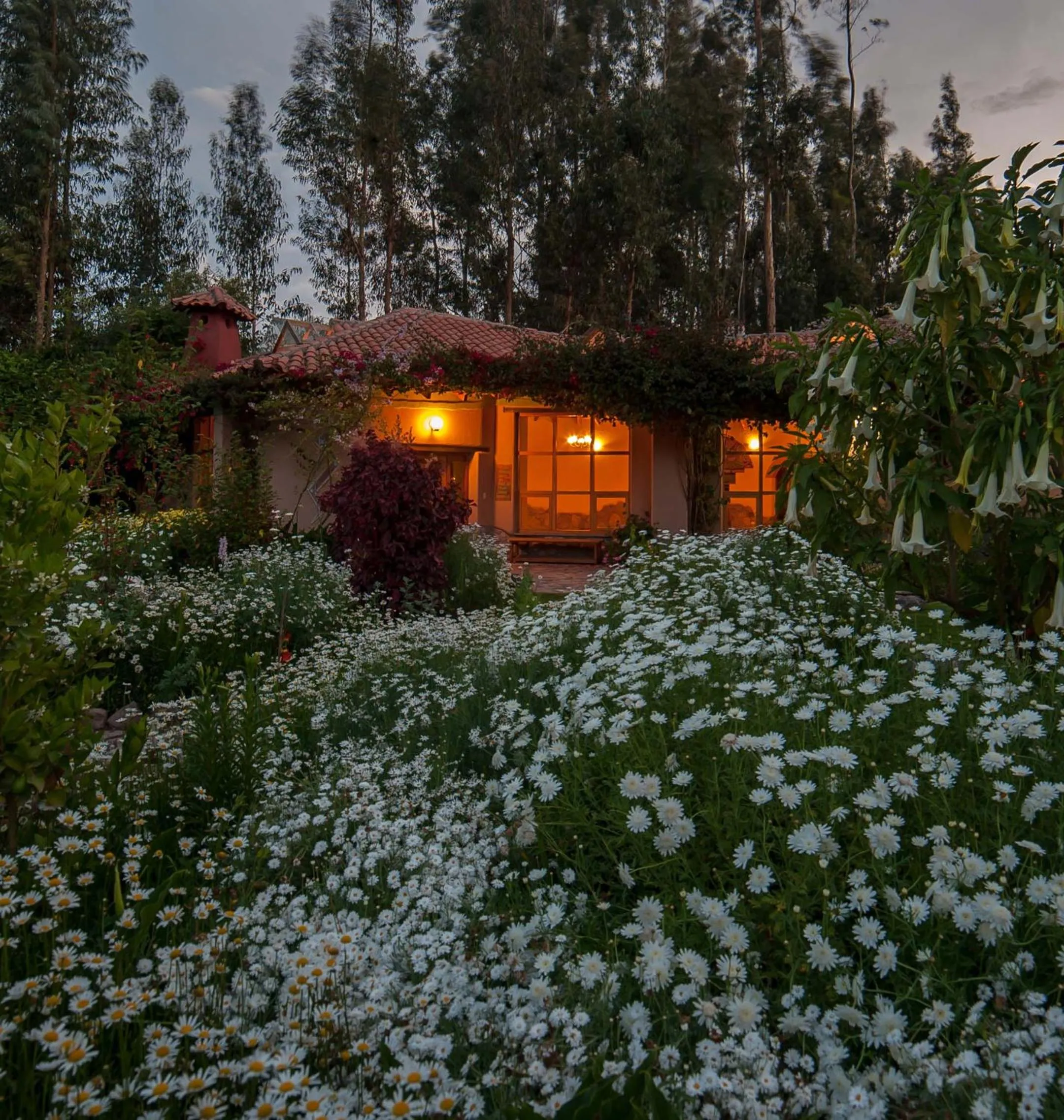 Night in Willka T'ika