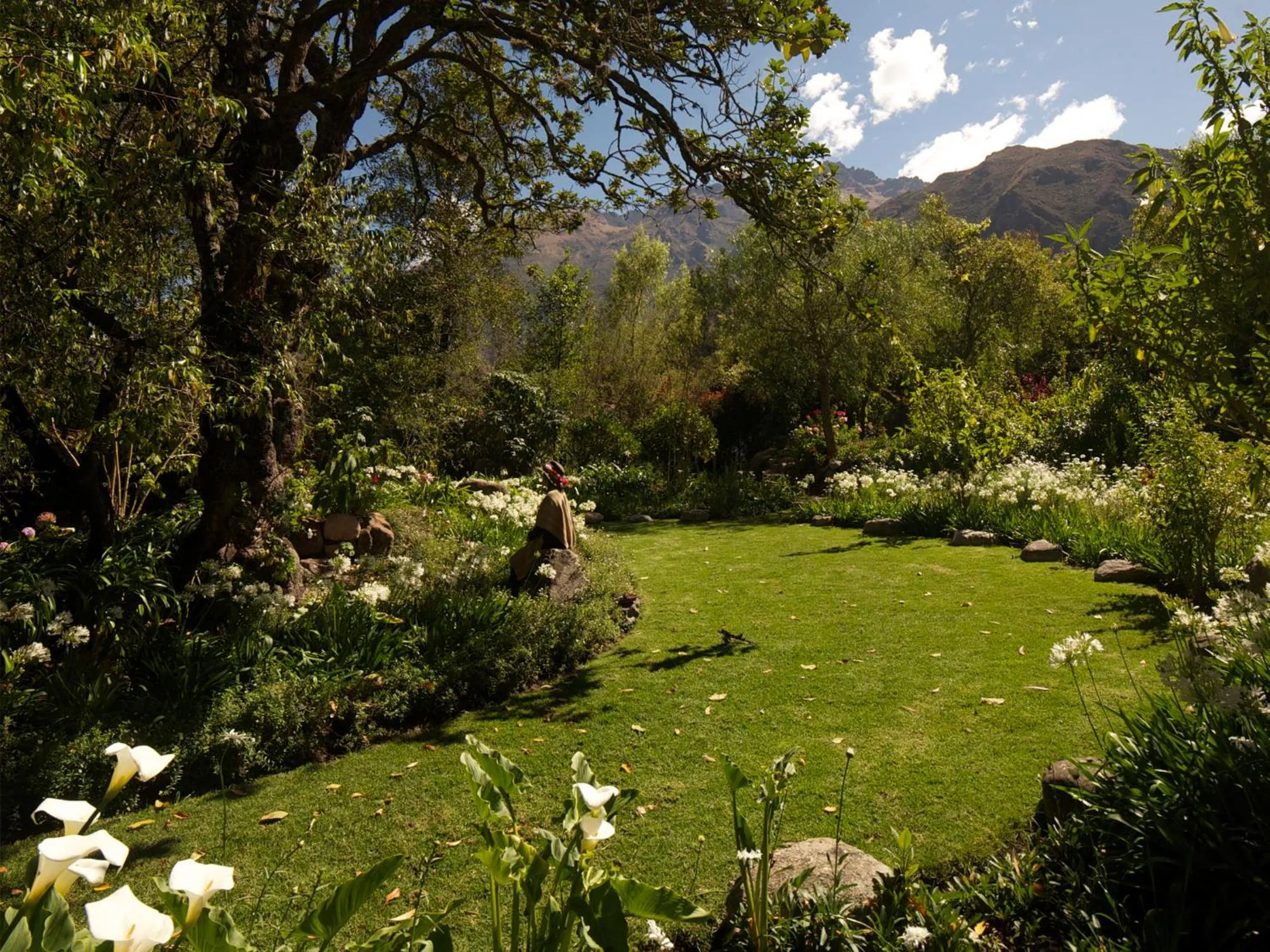 Garden in Willka T'ika