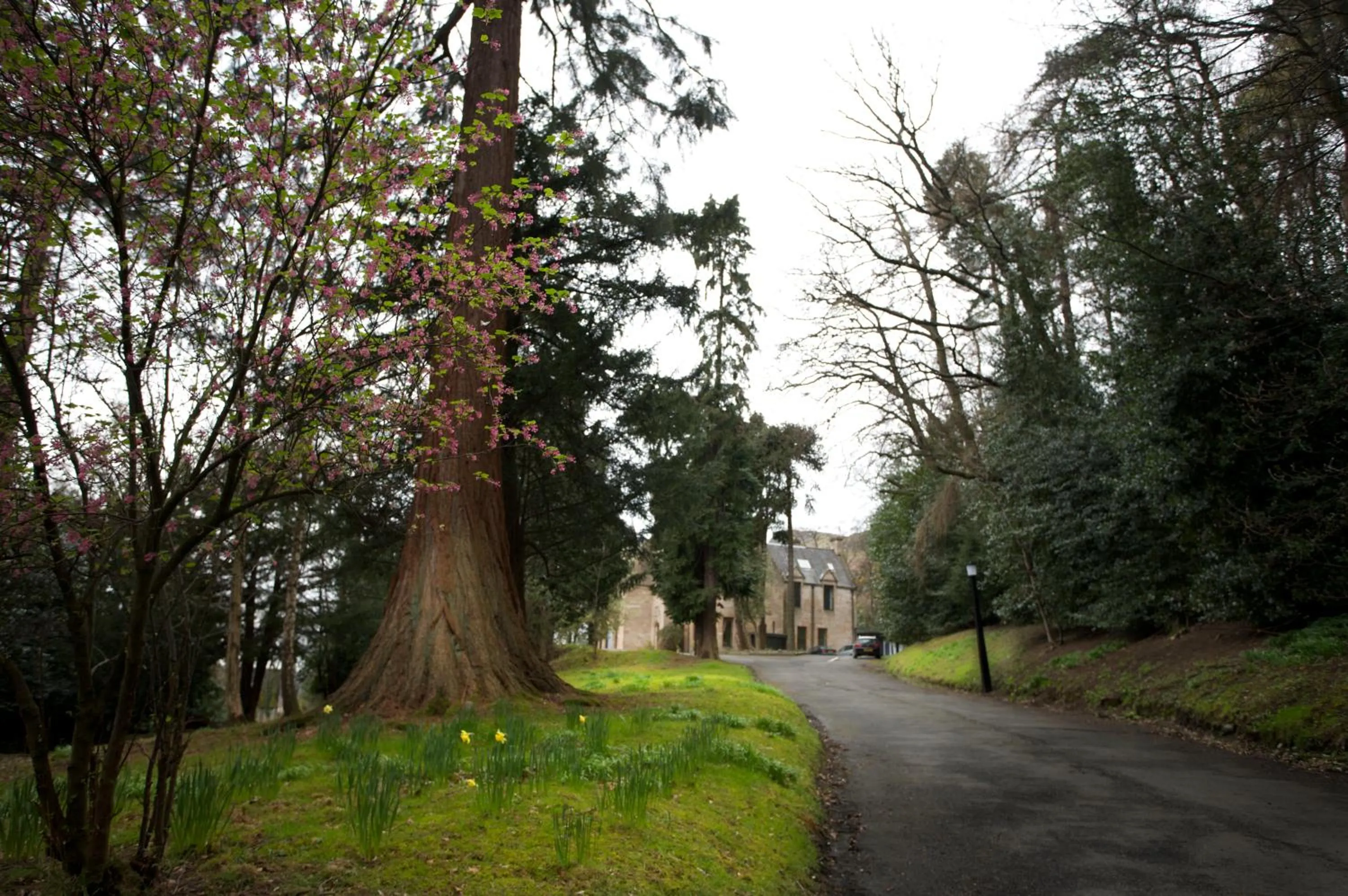 Garden in Broomhall Castle Hotel