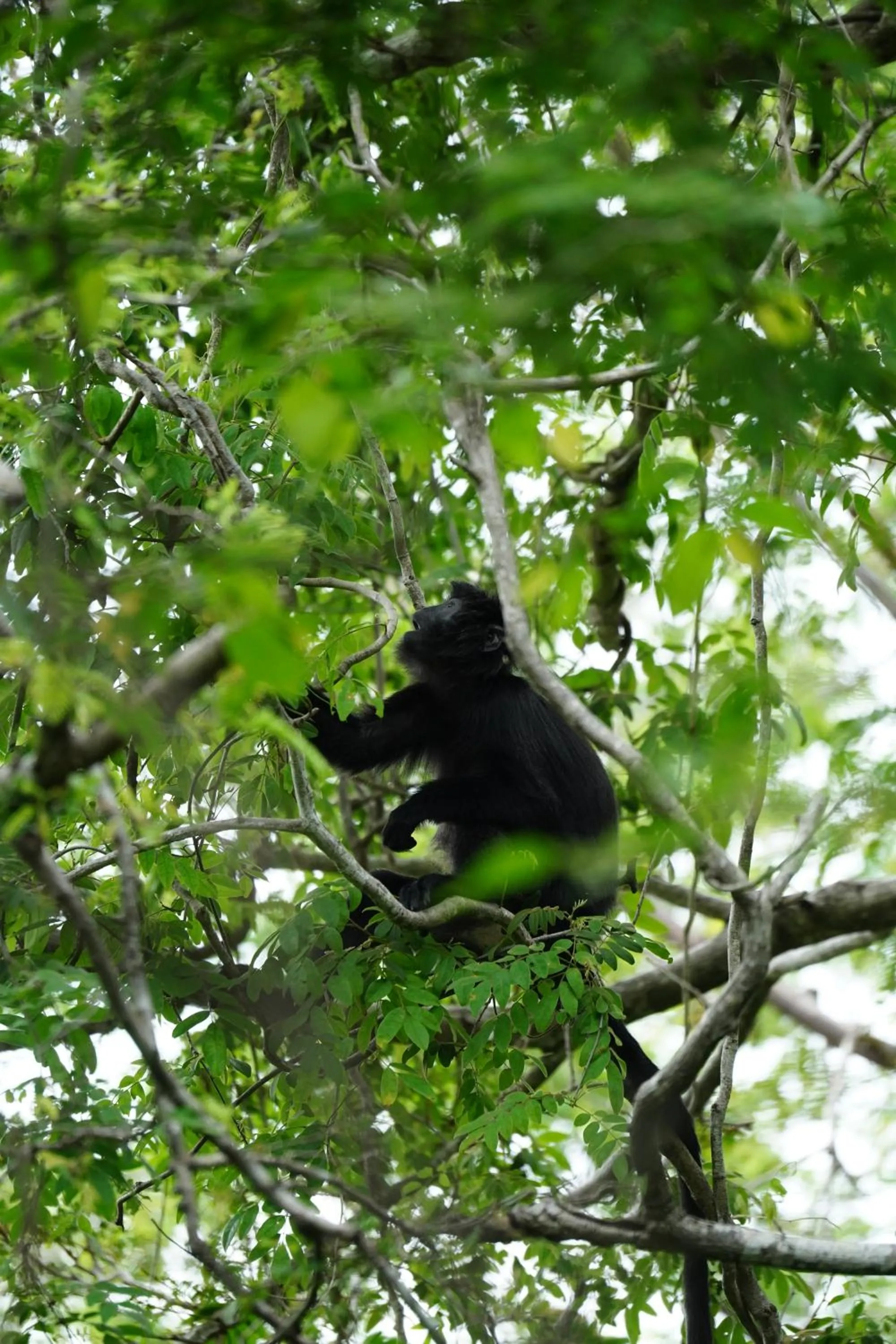 Natural landscape in NusaBay Menjangan