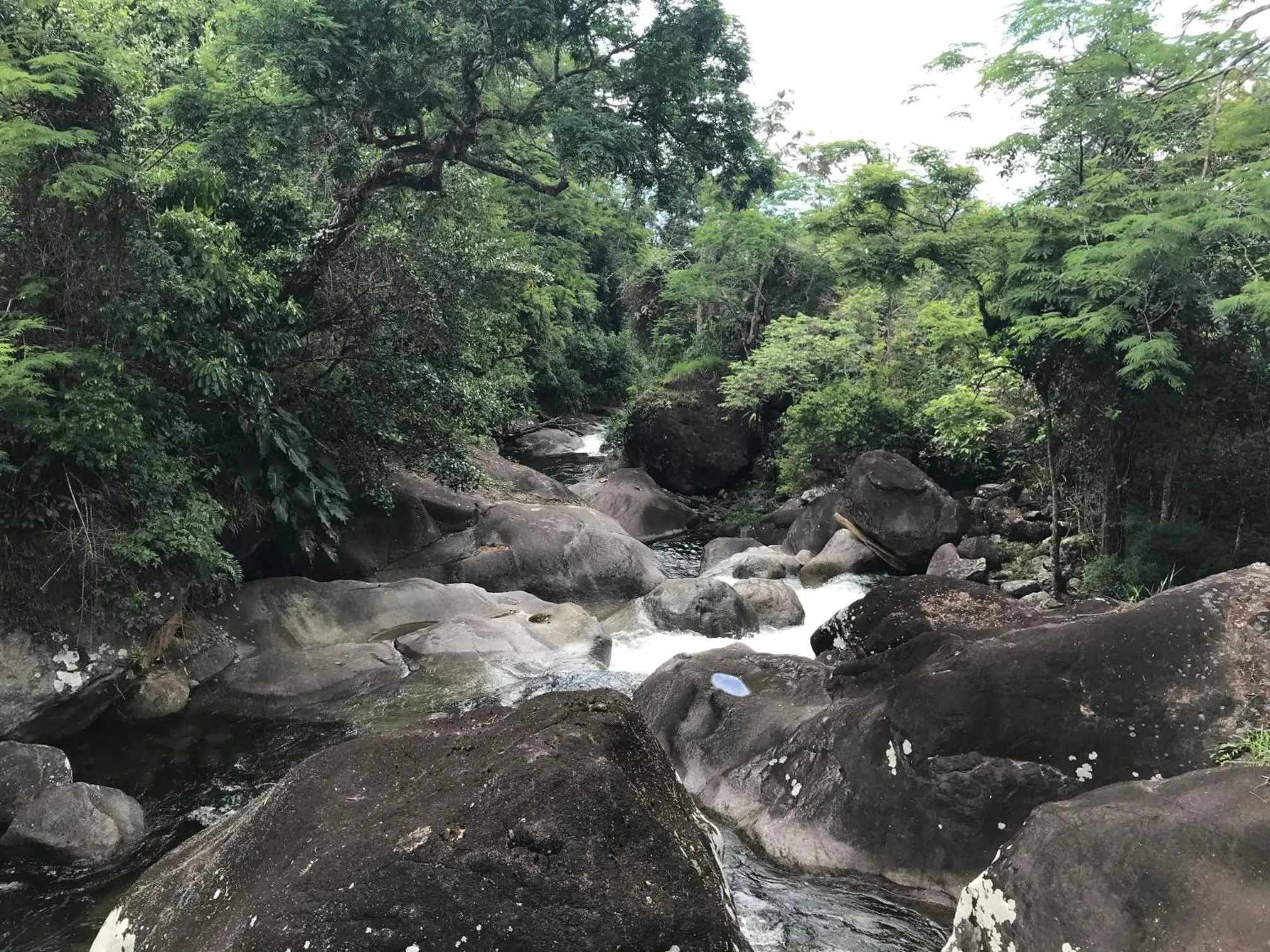 Natural landscape in Pousada Sitio Barreirinha