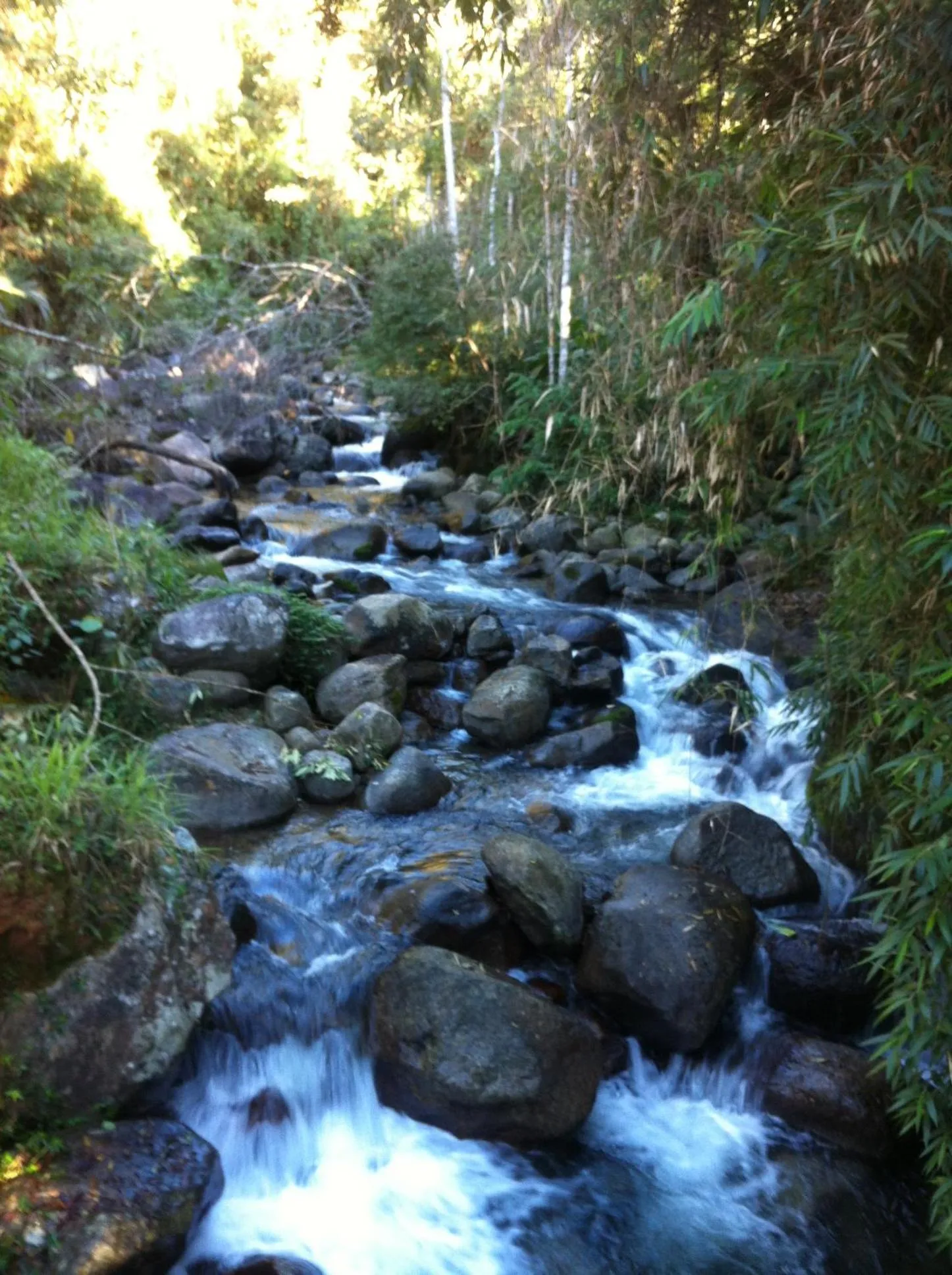 River view in Pousada Sitio Barreirinha