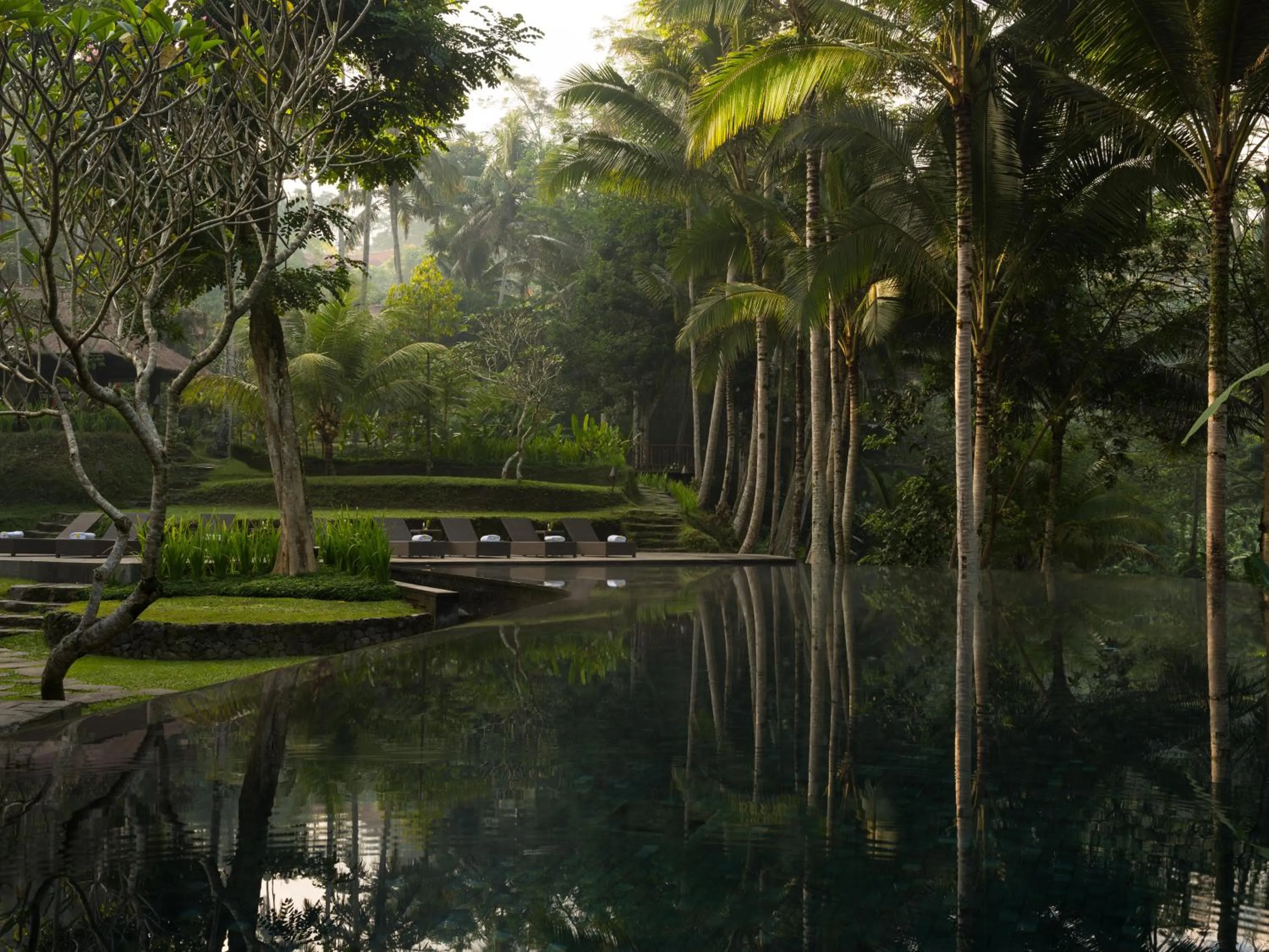 Natural landscape in Kayumanis Ubud Private Villas & Spa