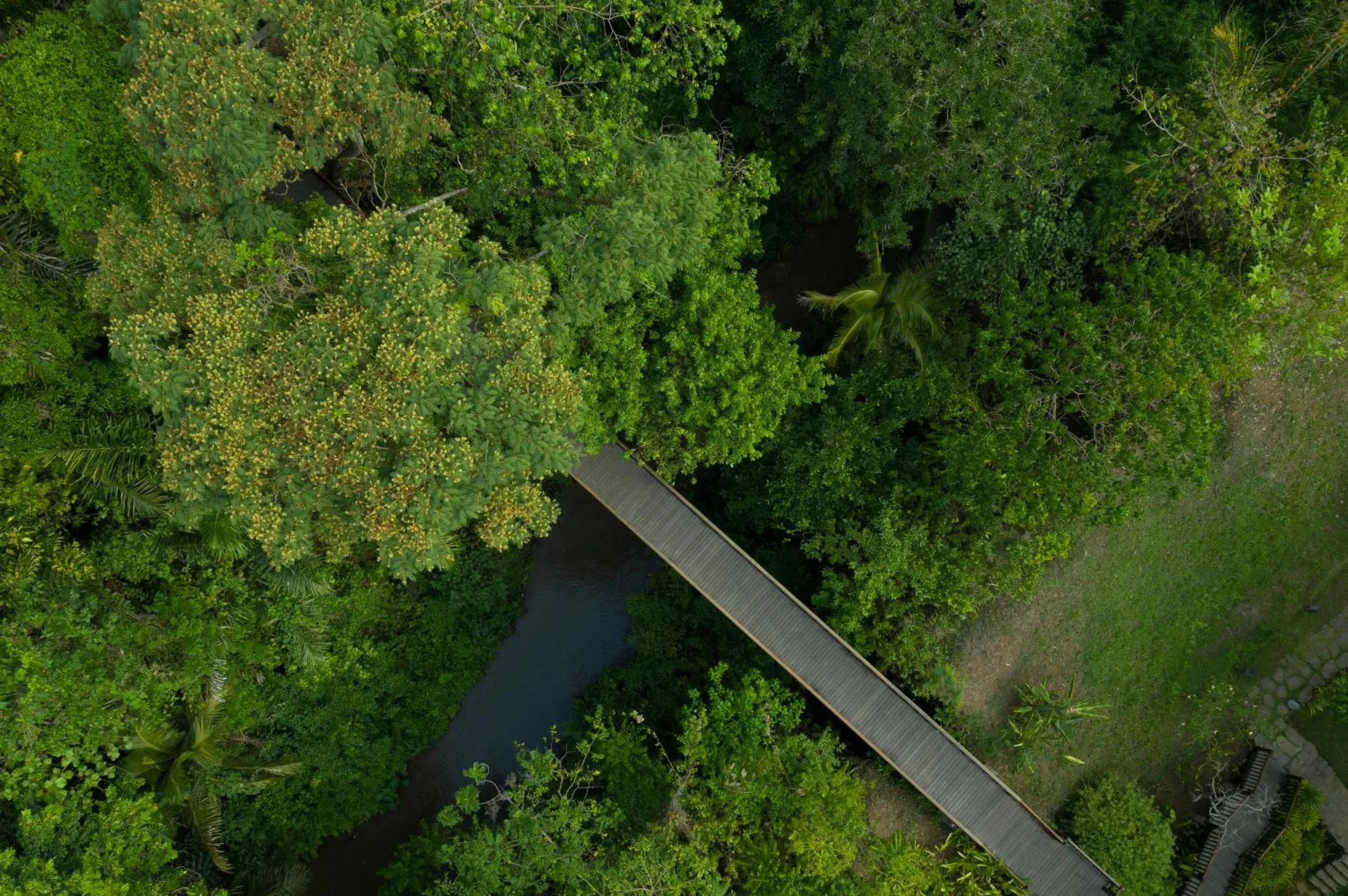 Natural landscape in Kayumanis Ubud Private Villas & Spa